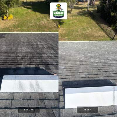Shingle Roof Cleaning