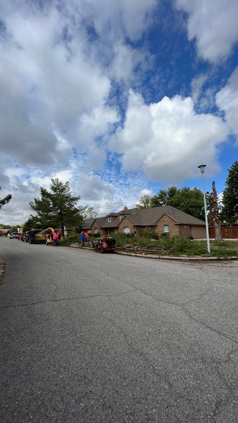 Tree removal , Concrete, Pergola, and sod install  by Clays Services Inc