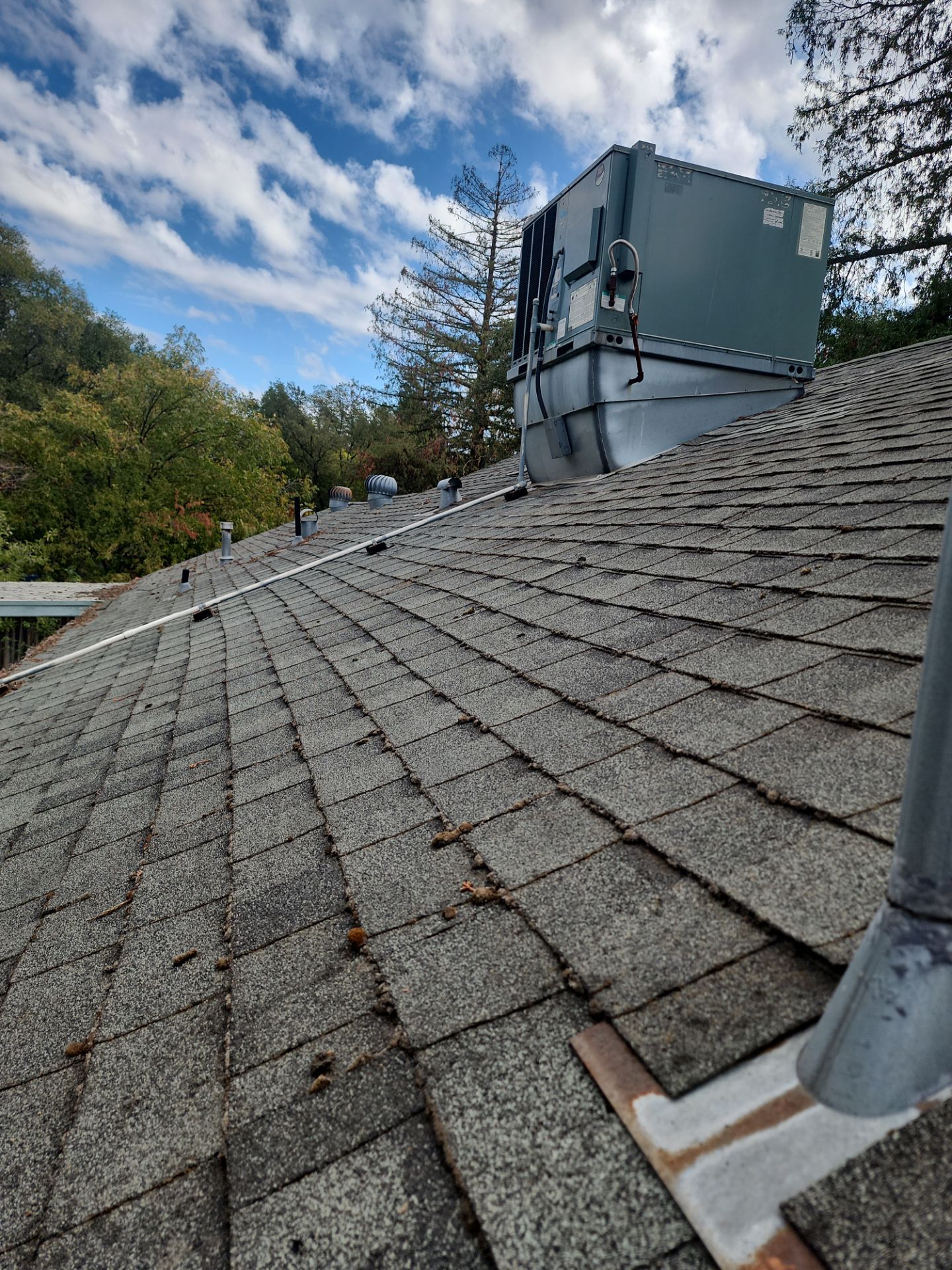 Roof Rejuvenation using Roof Maxx Treatment by Roof Maxx of Folsom