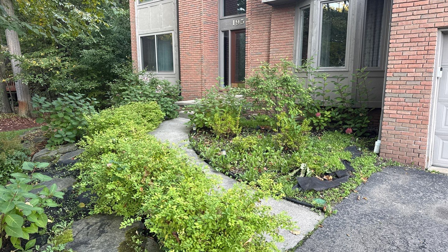 Siding Replacement using Alside S7 Cedar Mill Grain Cape Cod Grey by 180 Contractors