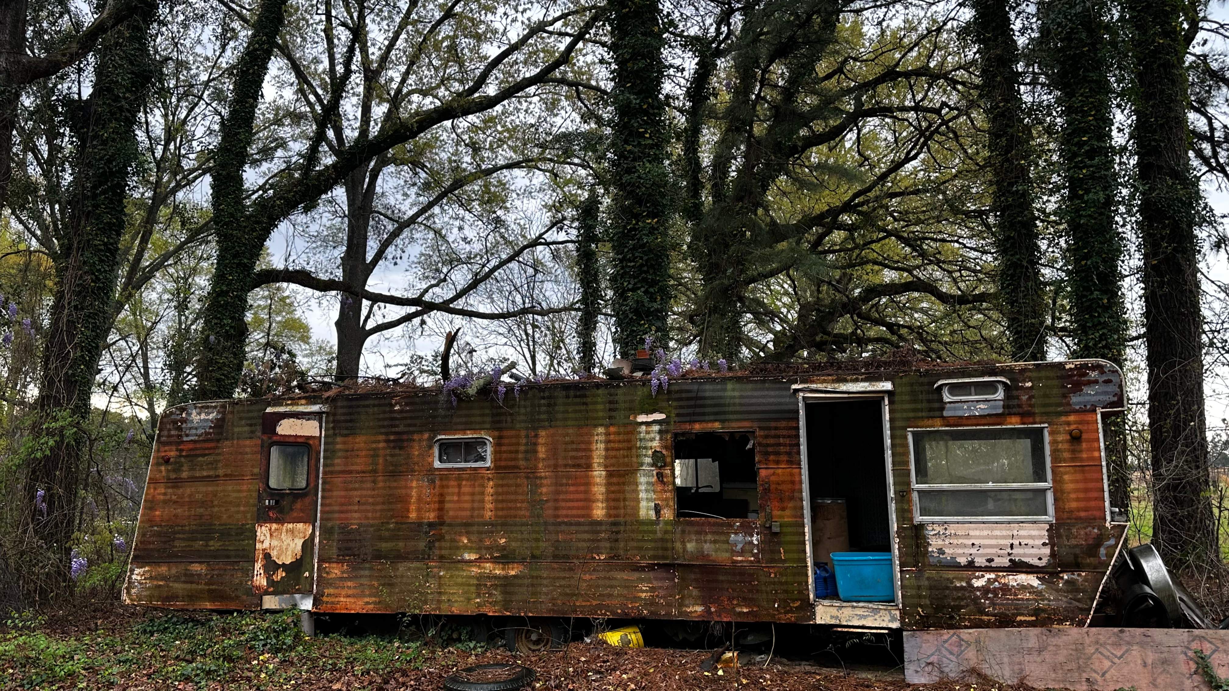 BeeGirl ETX HQ by Rockwall Honey Bee Company