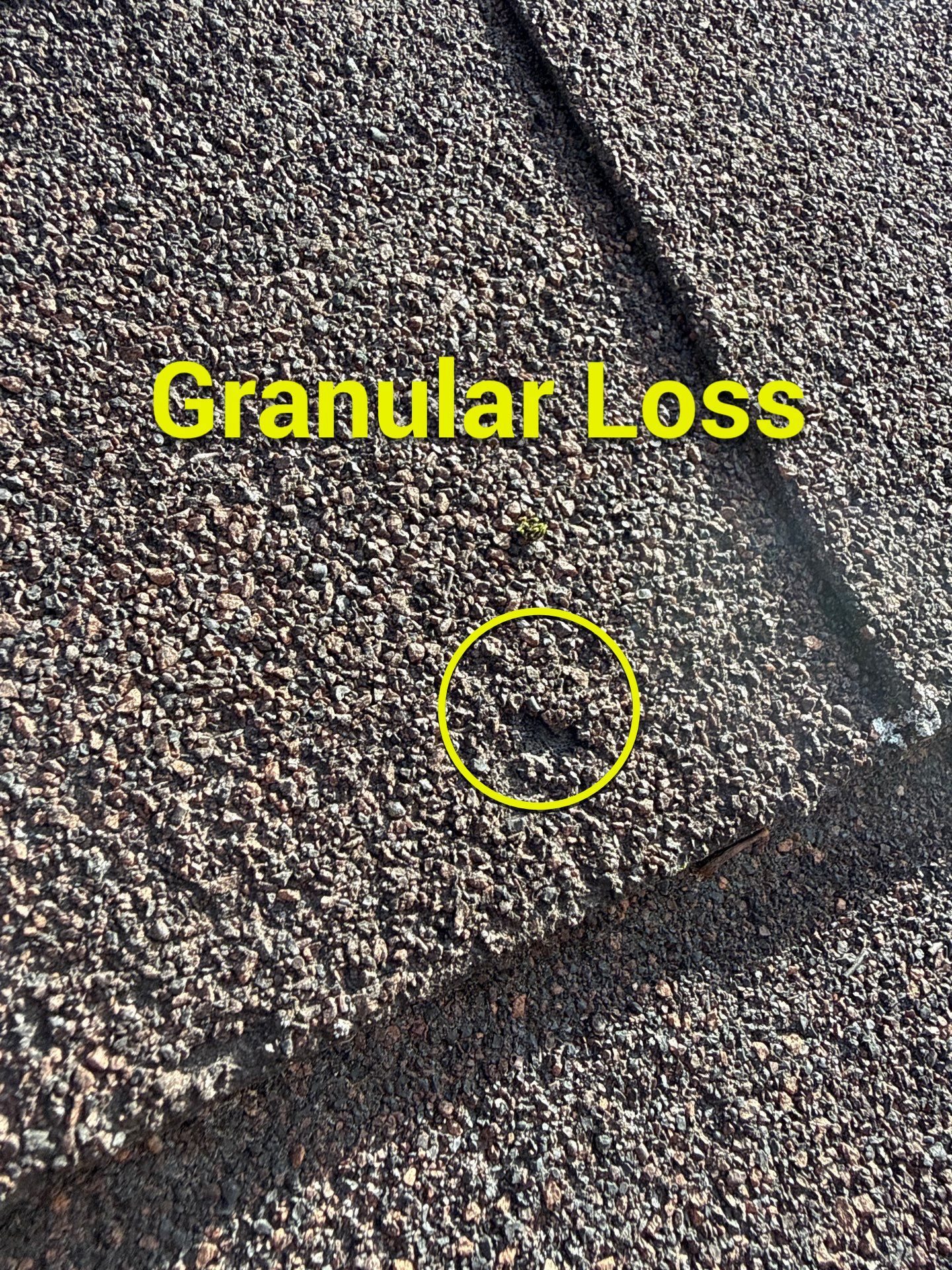 Project in Midlothian by Roof Maxx of Midlothian