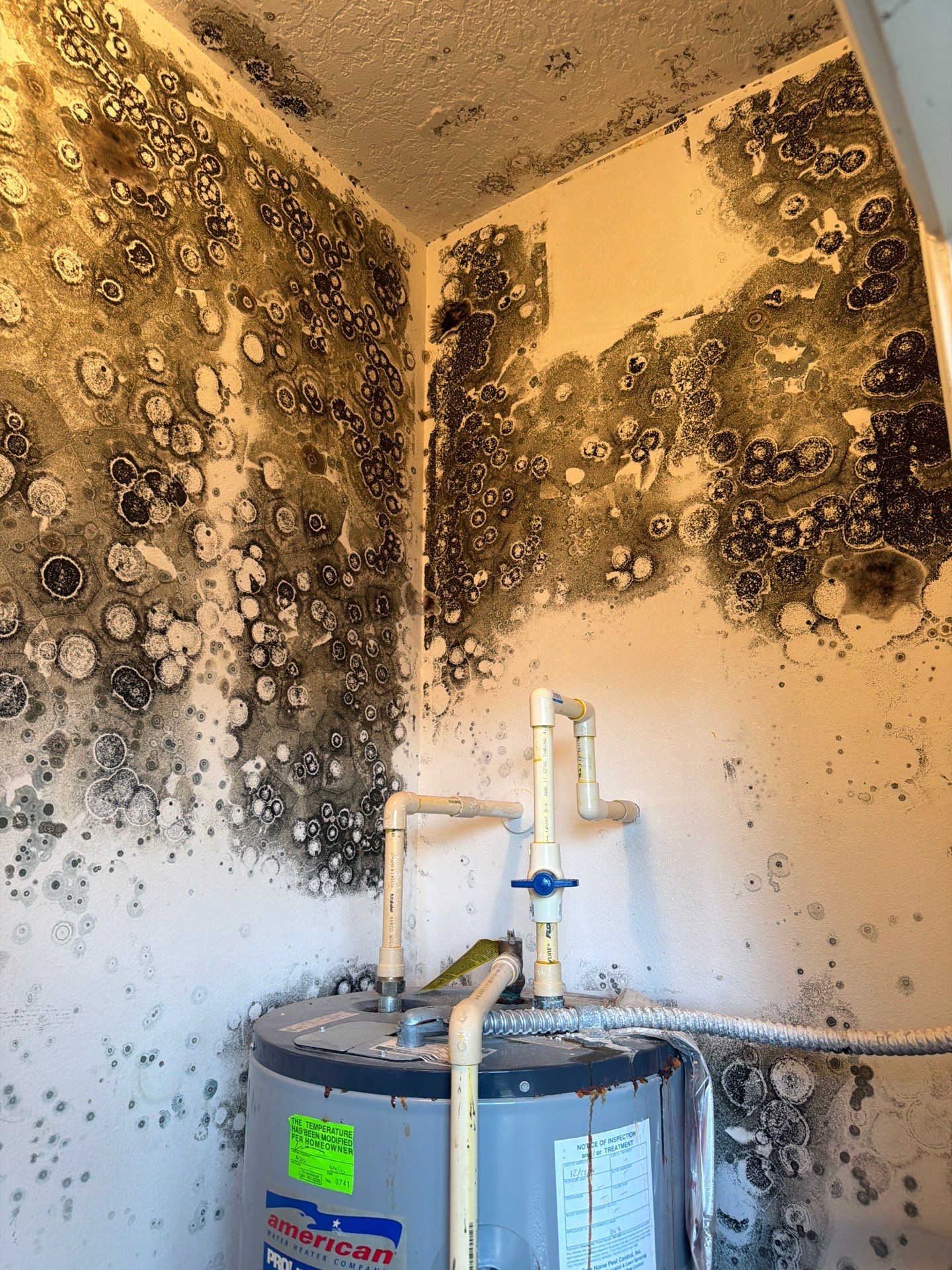 Mold Remediation and Interior Structural Drying in Wellington, Florida by SuperClean