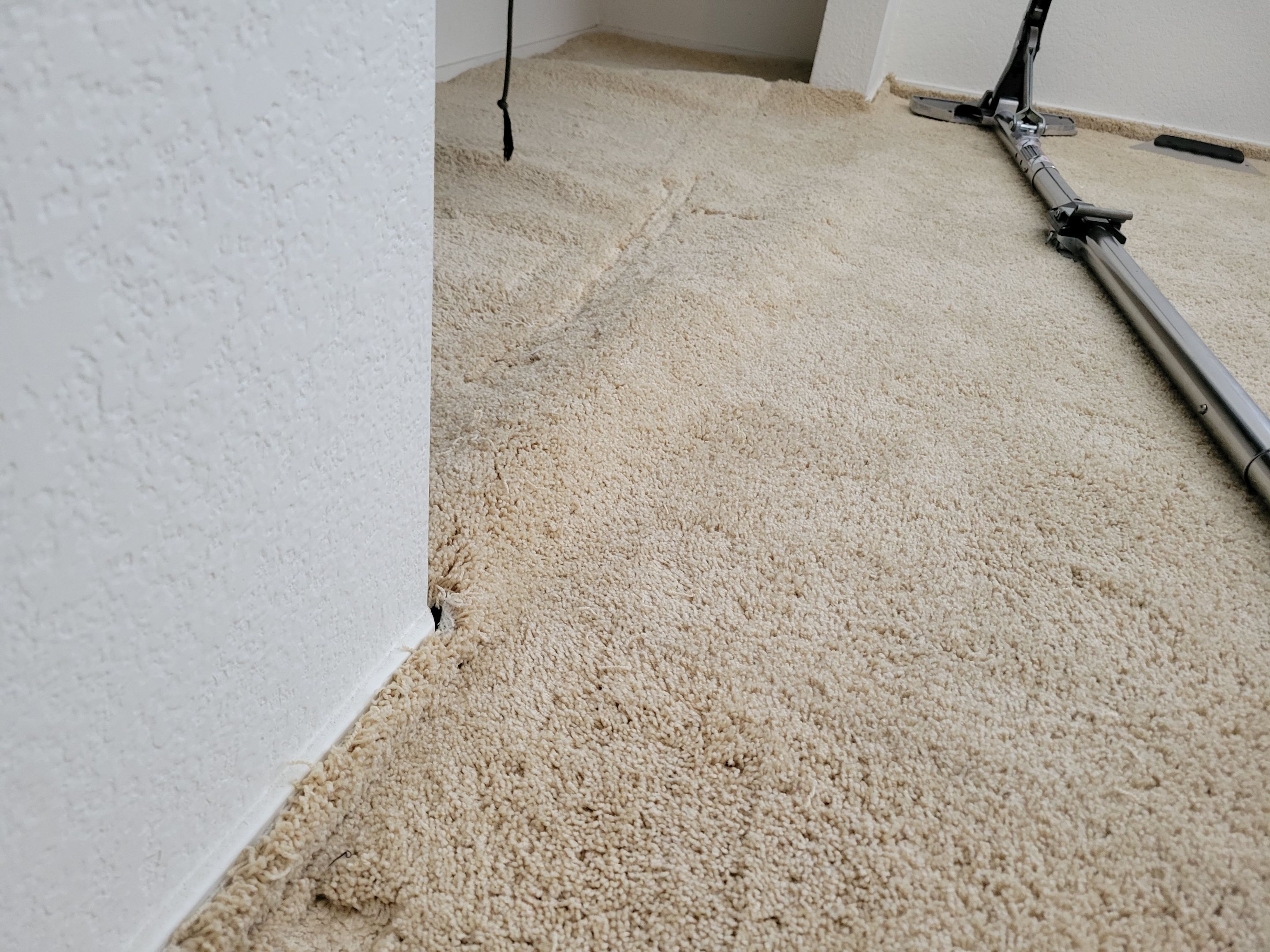 Carpet Re-stretching and Cleaning by Ardent Carpet Restore LLC