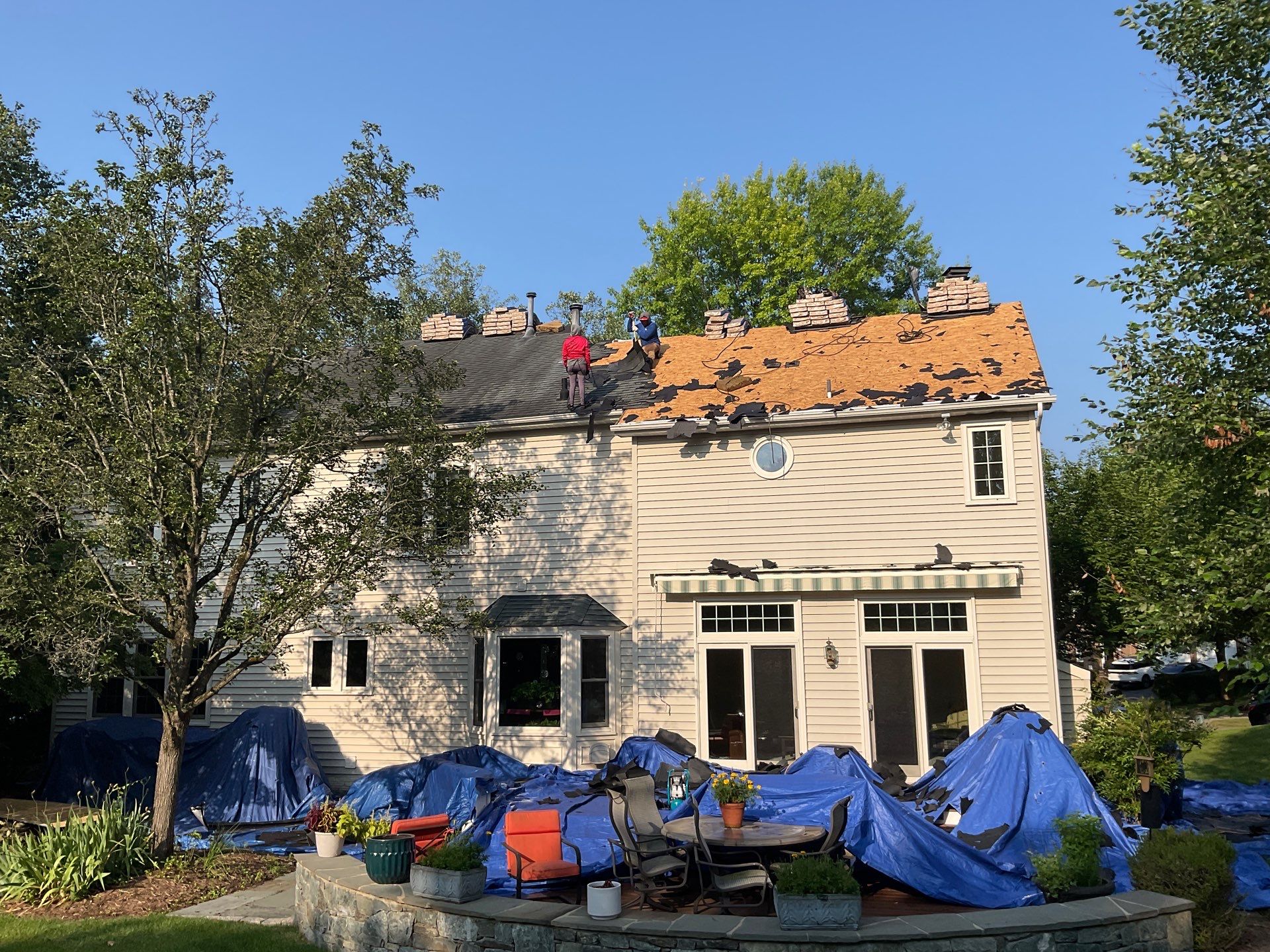 New Shingle Roof & New Gutters and downspouts with covers by Alpha Design Services