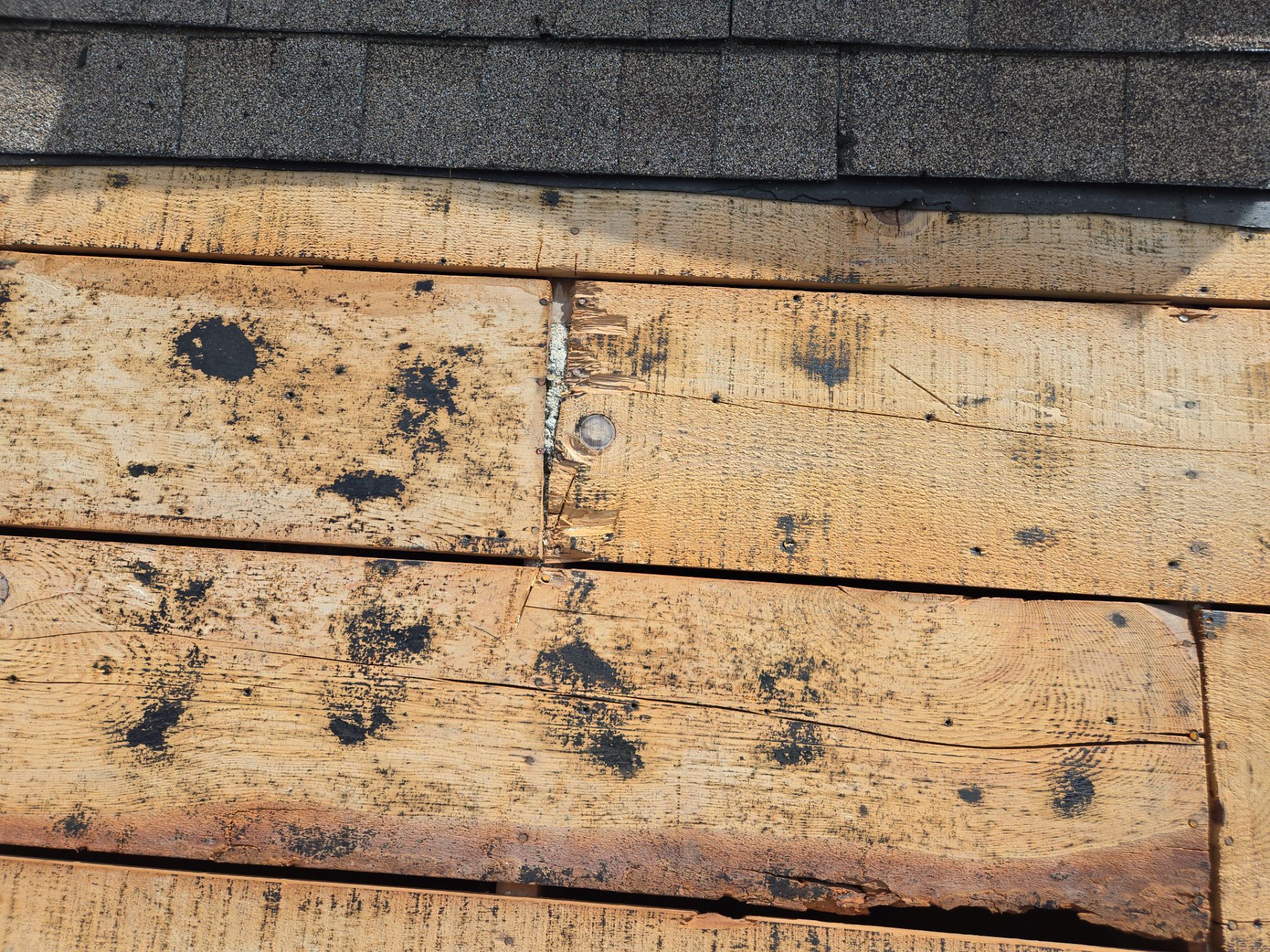 Project in Seminole 33772 by Mitchell Roofing Company LLC 