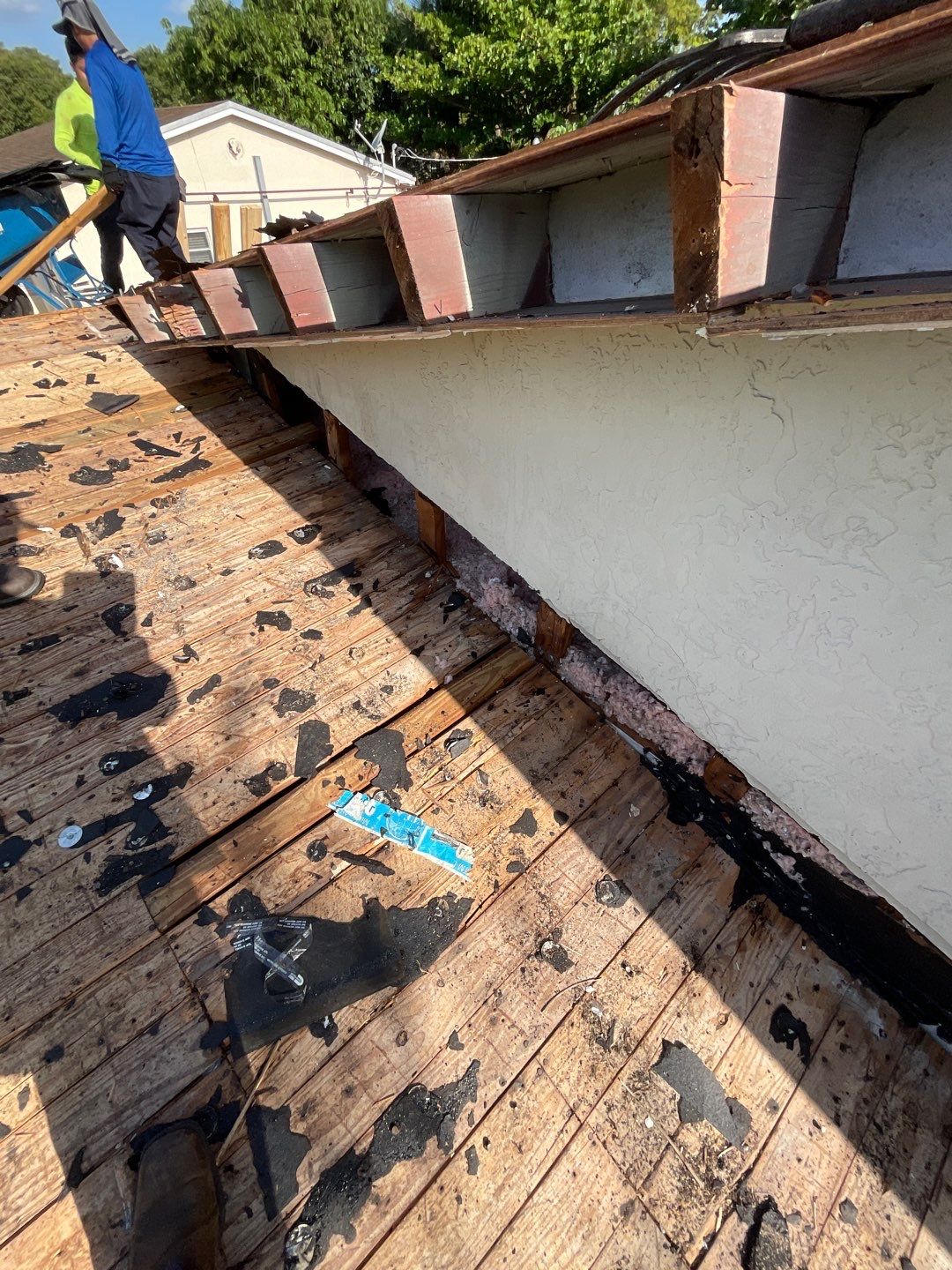 Beautiful Blue Shingle Re-Roof in Hollywood! by First Due Roofing