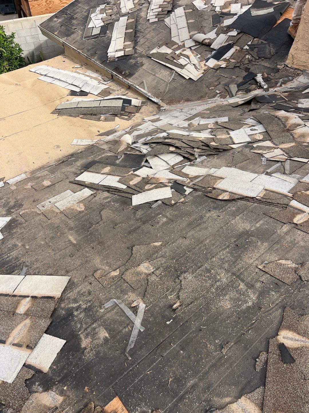 Birchwood Shingles by Reimagine Roofing