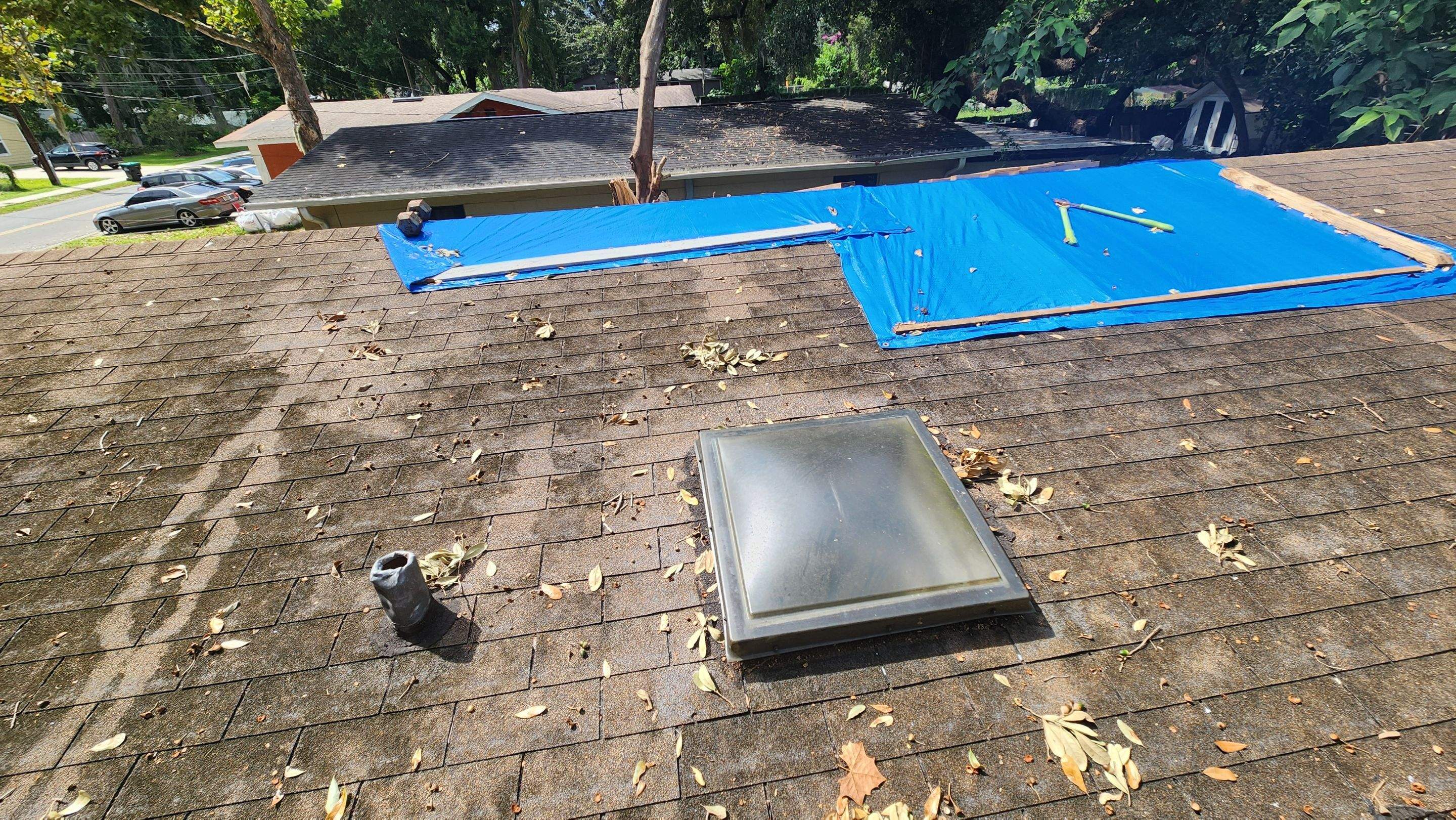 Tree Damage Claim in Orlando by FLAPA & KeyStone