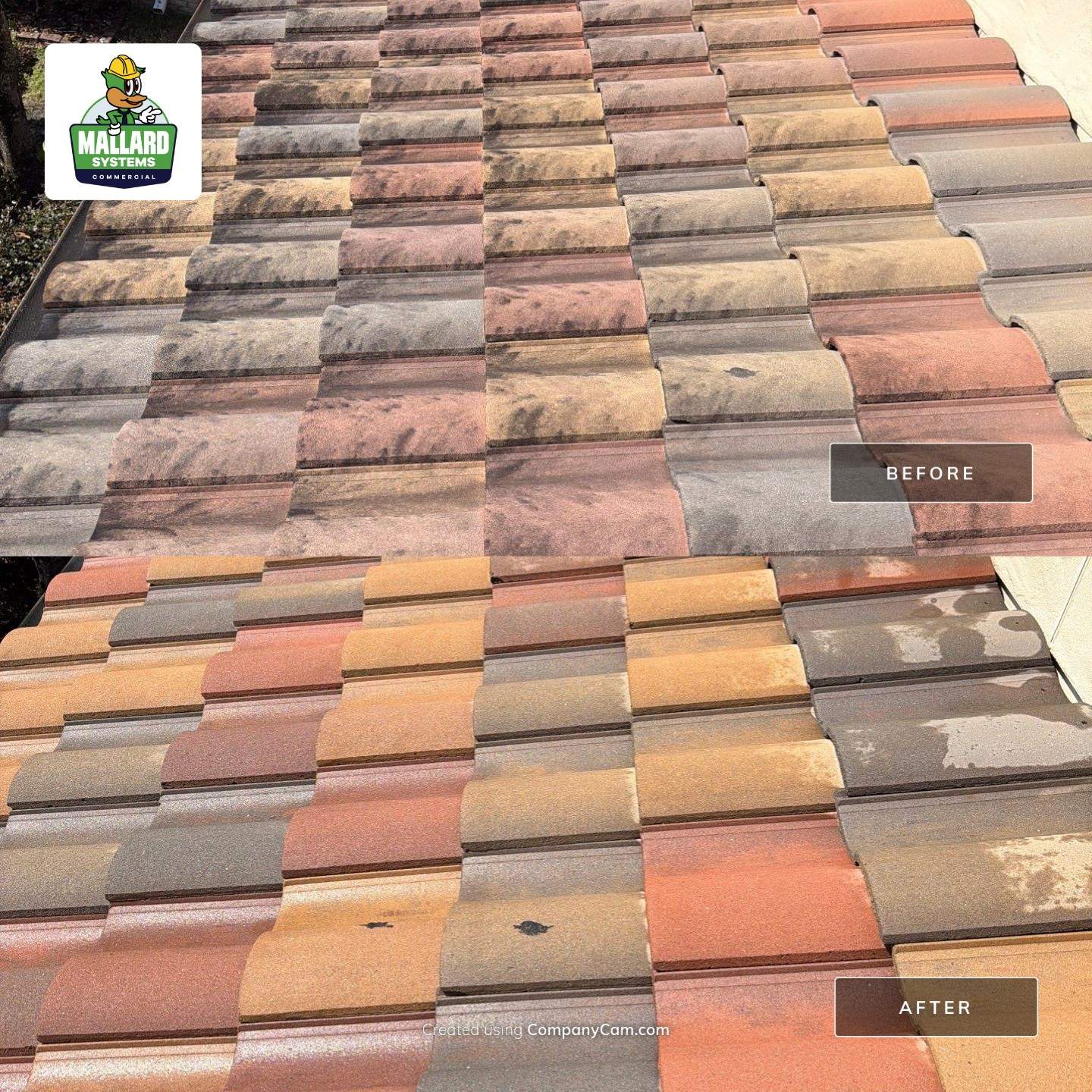 Barrel Tile Roof Cleaning in Casselberry by Mallard Systems