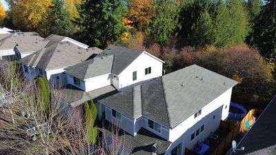 Spanaway WA, GAF Timberline NS, Weatherwood