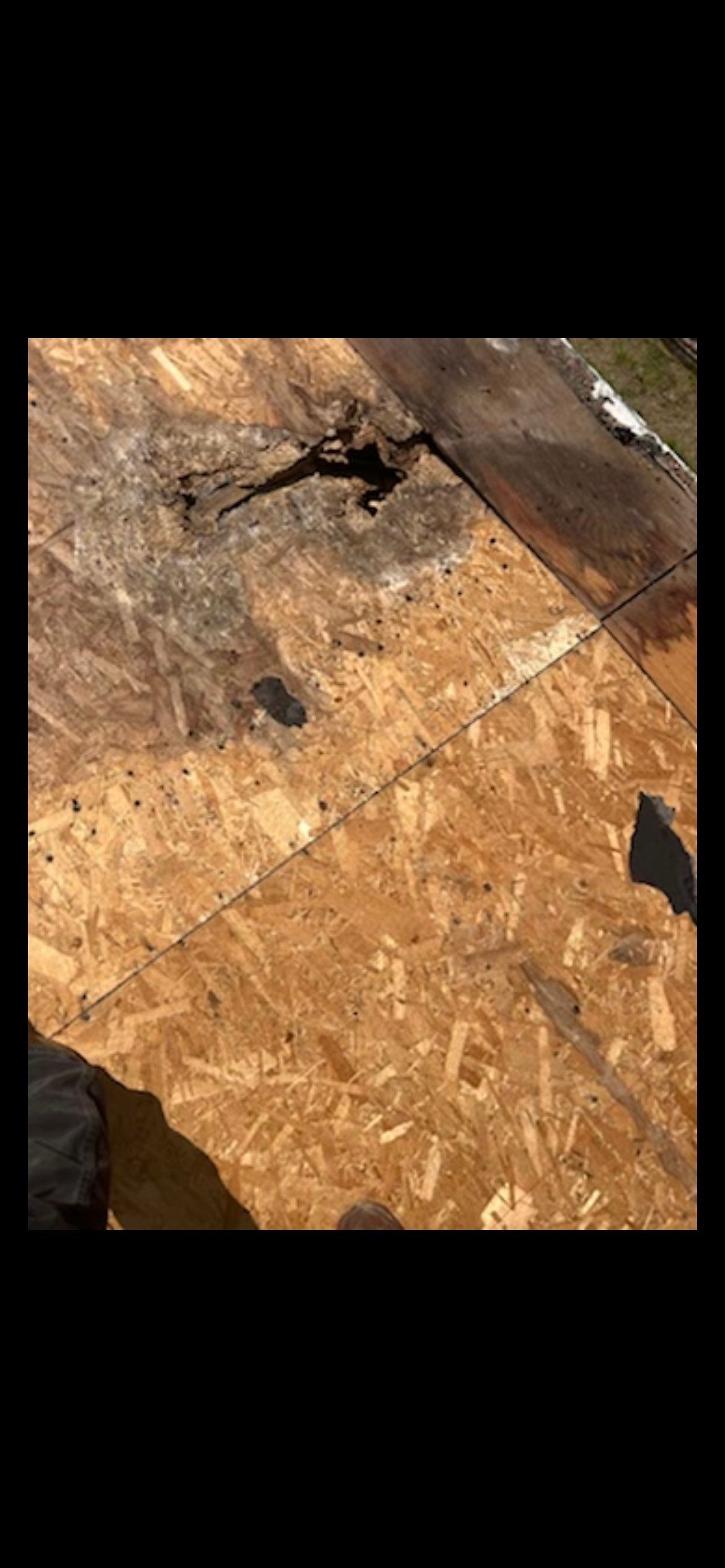 Elise's Full Re-roof by All Storm Roofing & Construction