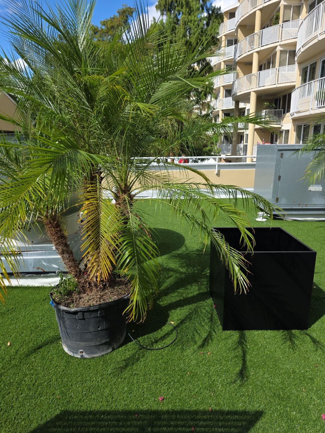Cypress Village | Plant & Flower Upgrade by ProGreen Services
