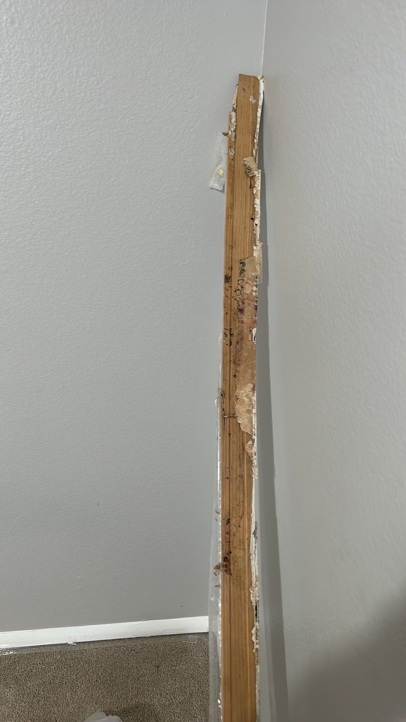 Mold Damage Repairs by Accountable Home Services