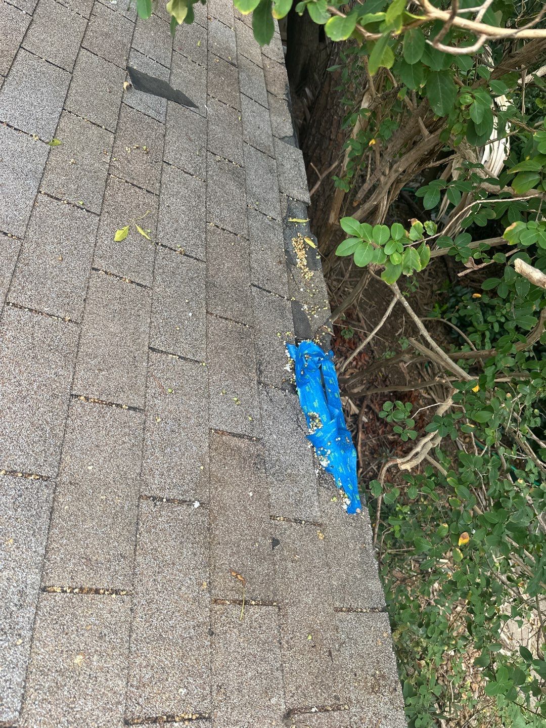 Hail Damage using Owen's Corning Duration (Lifetime) Shingles by Roof Repair Company