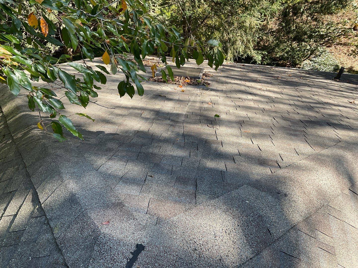 Install new shingles and new skylights  by Alpha Design Services