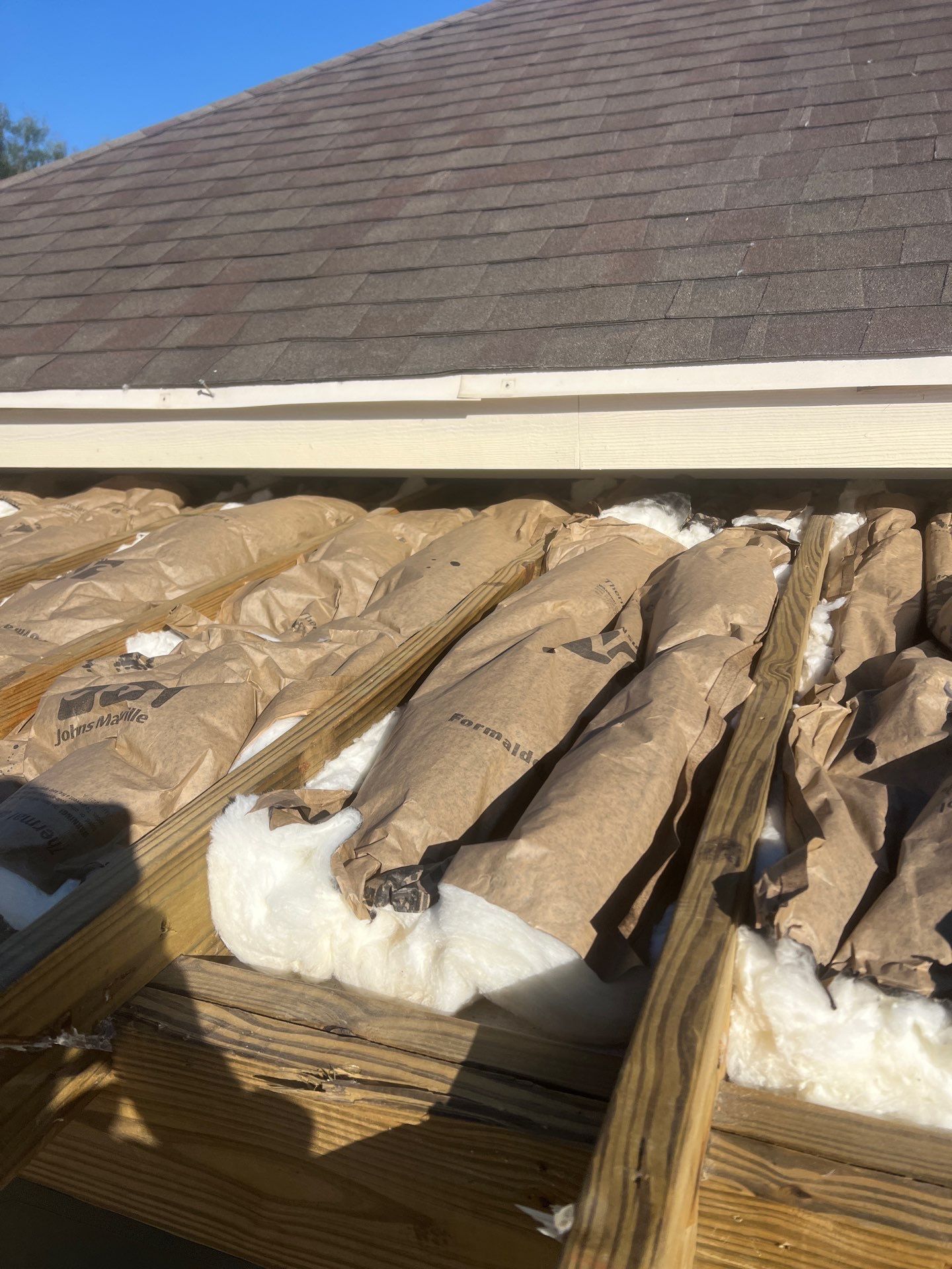 It Ain't Easy getting Shady  by Bayfront Roofing and Construction