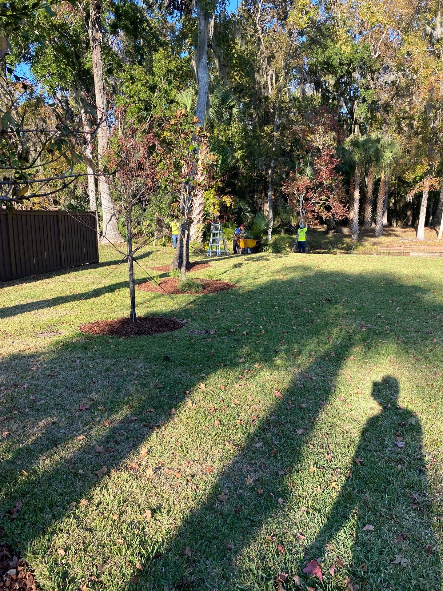 Deerwood Resident | Extreme Clean Up by ProGreen Services