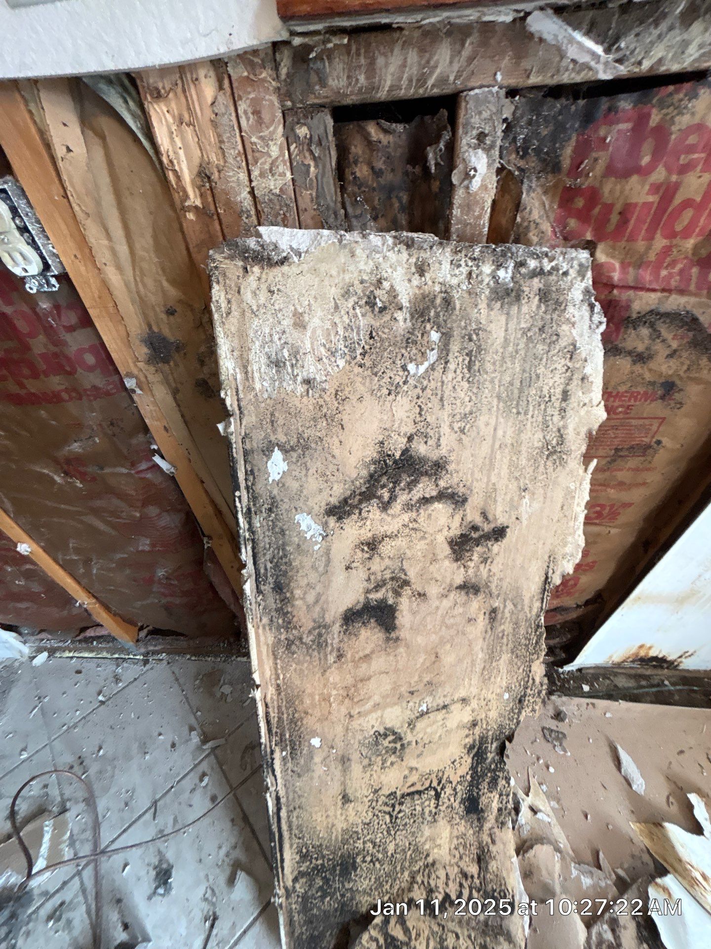 Remediation Of Mold by Ampm Restoration Services