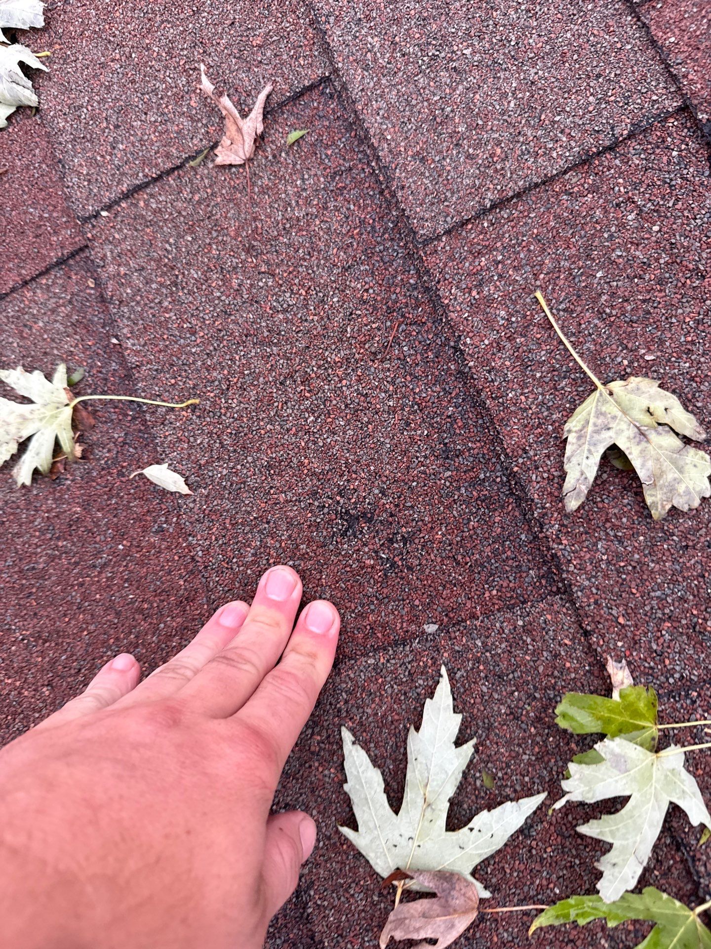 Roof Replacement in Oklahoma City, OK by McCann's Roofing and Construction