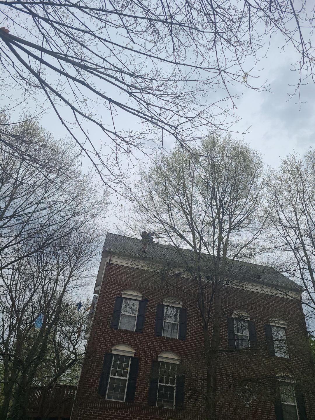 Alexandria: CertainTeed Landmark Pro Designer Shingles in Max Def Georgetown Gray by RM Banning, Inc.