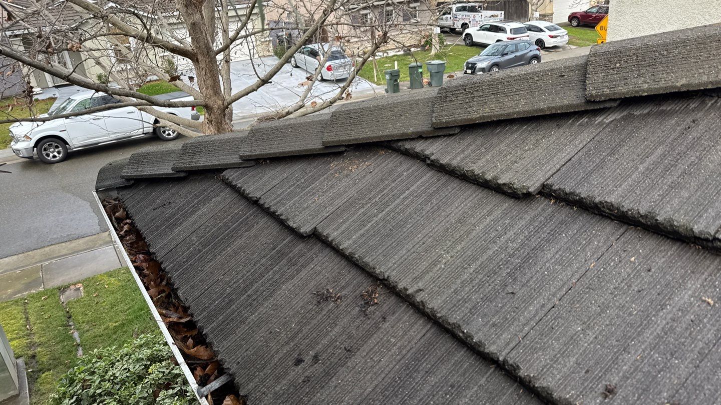 Project by NuLead Construction Inc by NuLead Construction Inc