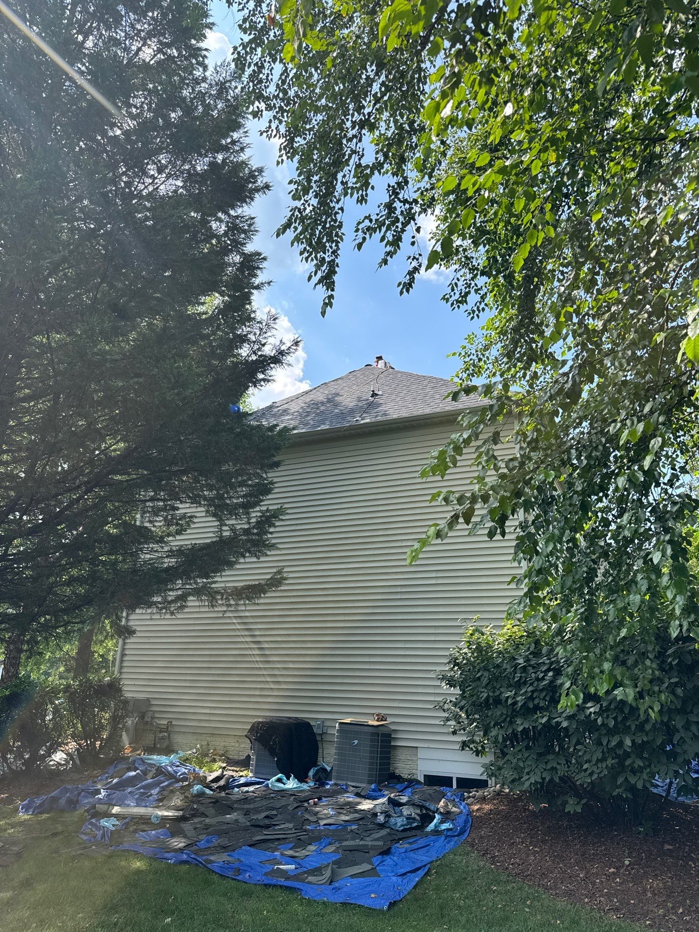 New Shingle Roof & New Gutters and downspouts with covers by Alpha Design Services