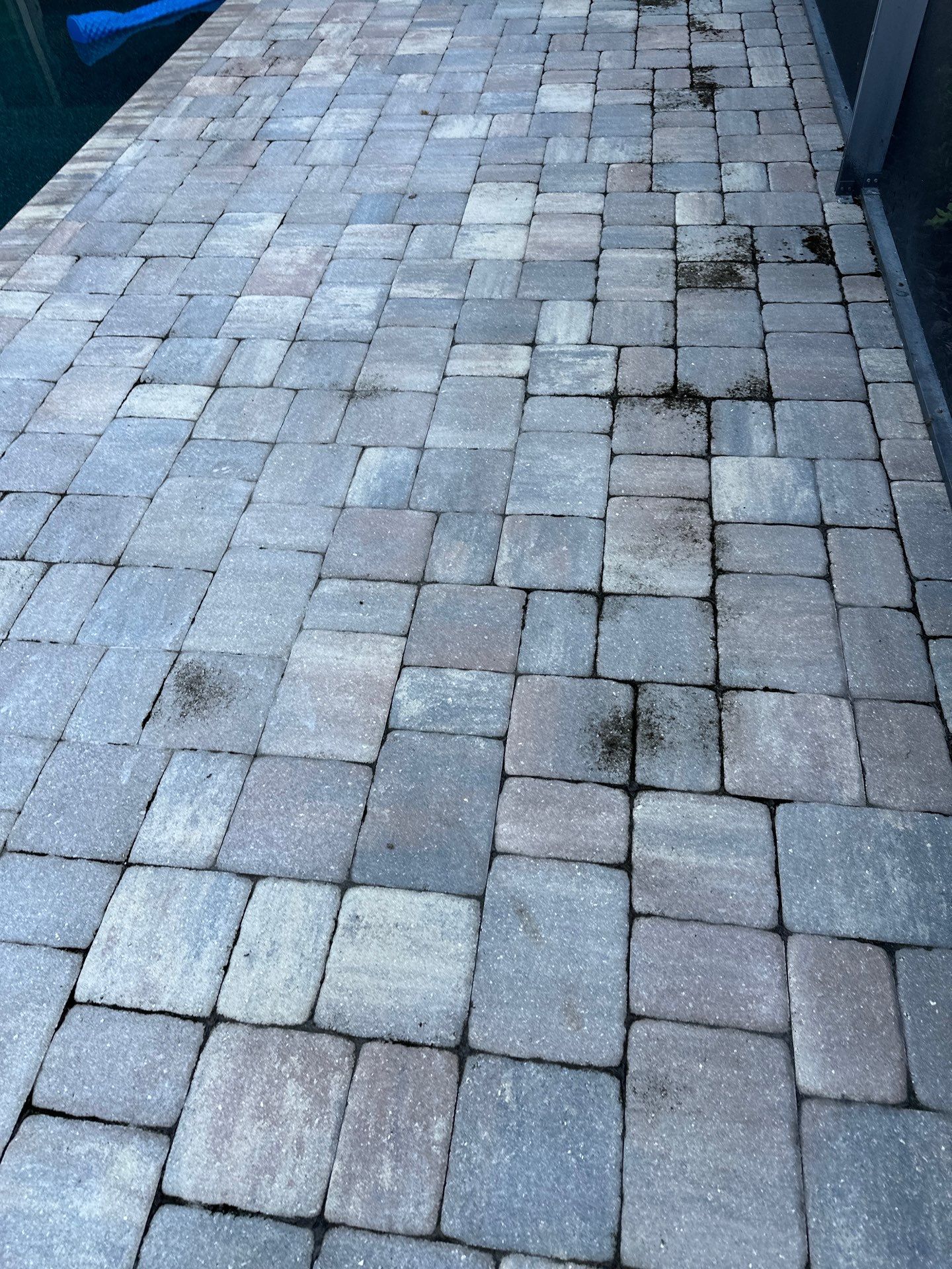 Paver Driveway, Sidewalk, and Pool Deck Cleaning in Winding River Community, Bradenton, FL by Sunshine AquaWash