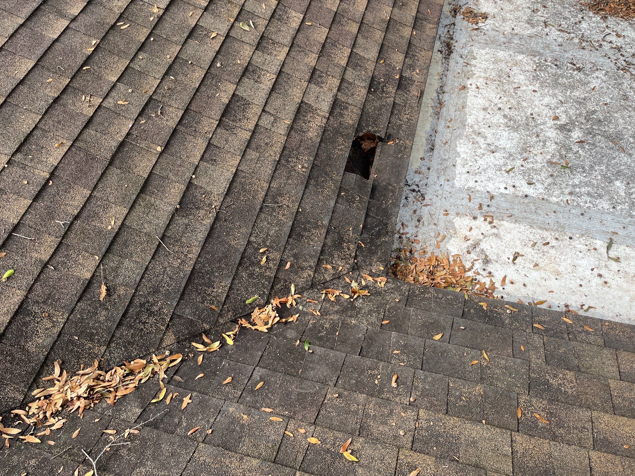Shingle -> Shingle by Prime Roofing