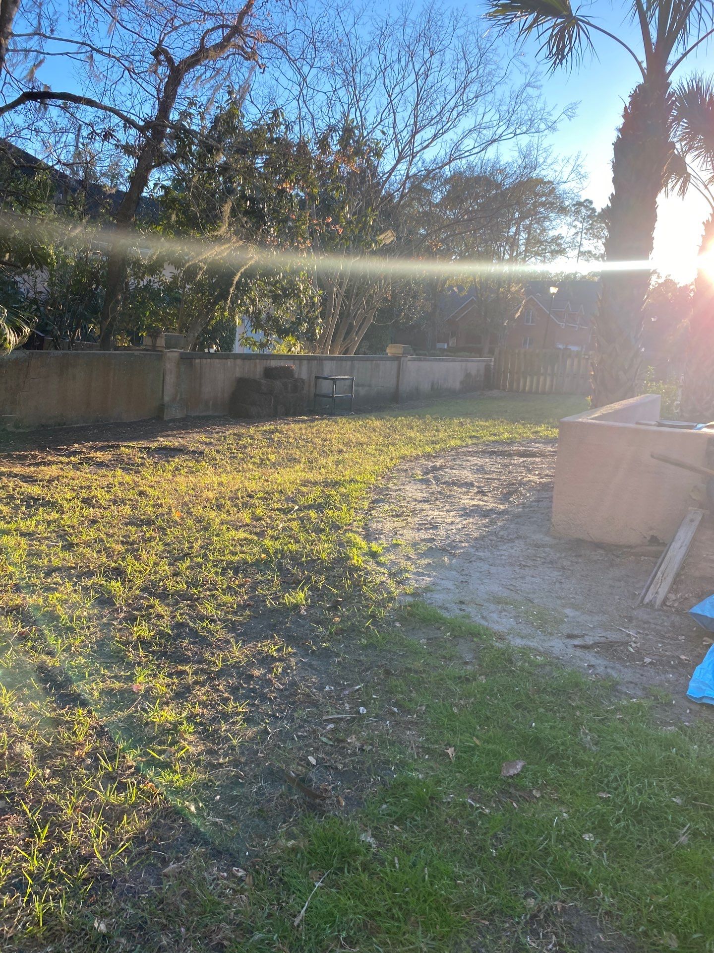 Deerwood Resident | Tree Removal & Clean-Up by ProGreen Services