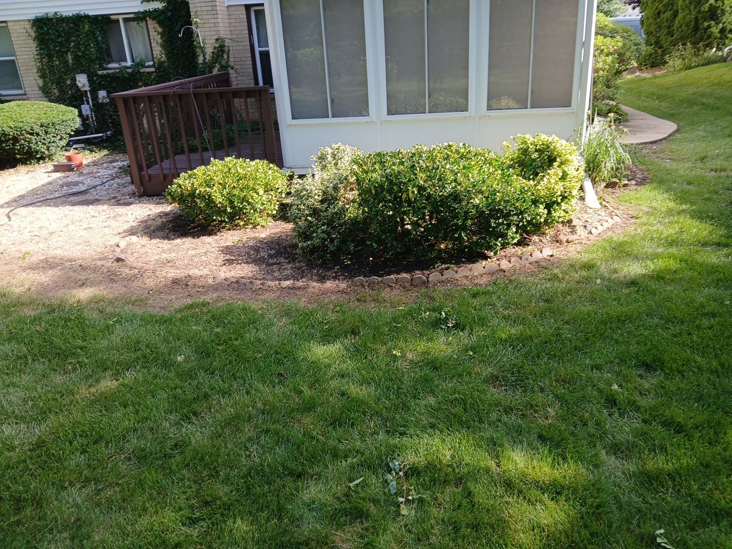Andrew L. - Arlington Heights, IL by A&N
