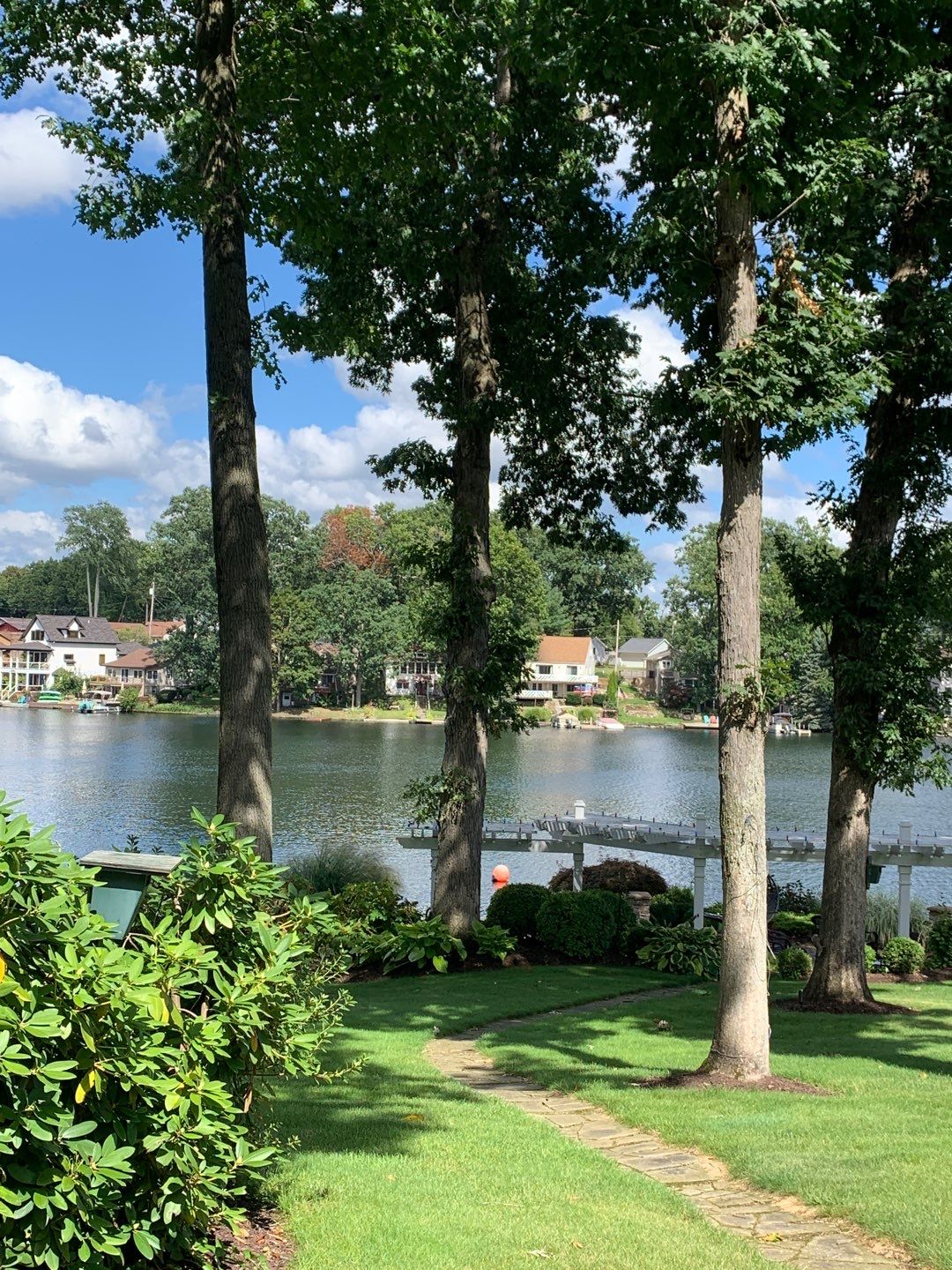 Tree Trimming using Tree Pruing by Mike Jones & Sons Tree Service LLC 