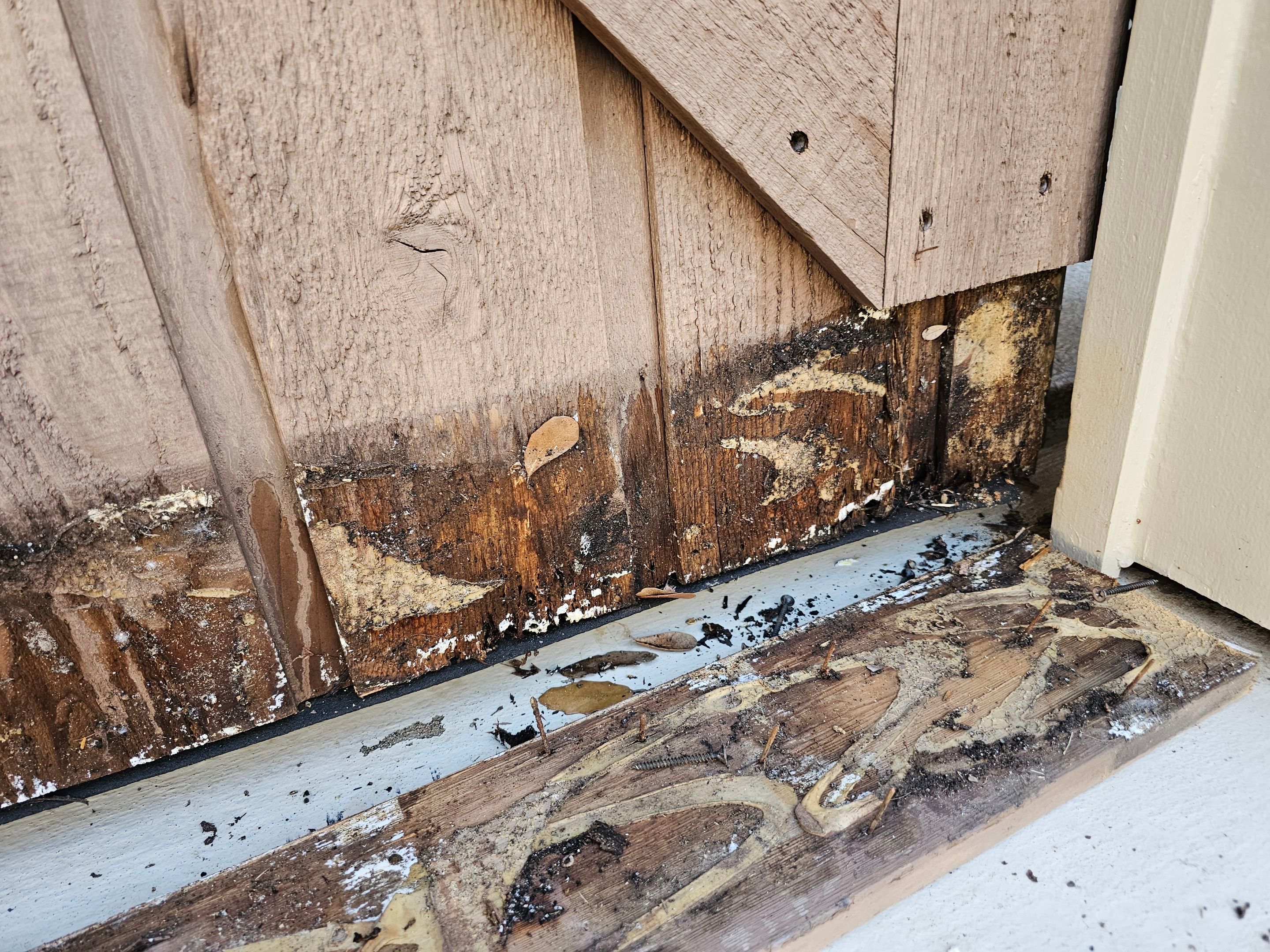 Exterior & interior paint, Garage door repairs, roof replacement & leak repairs by EL-GC LLC 