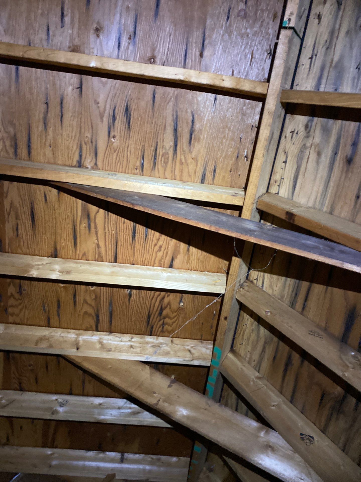Roofing | Northborough by Mighty Dog Roofing of Greater Middlesex County