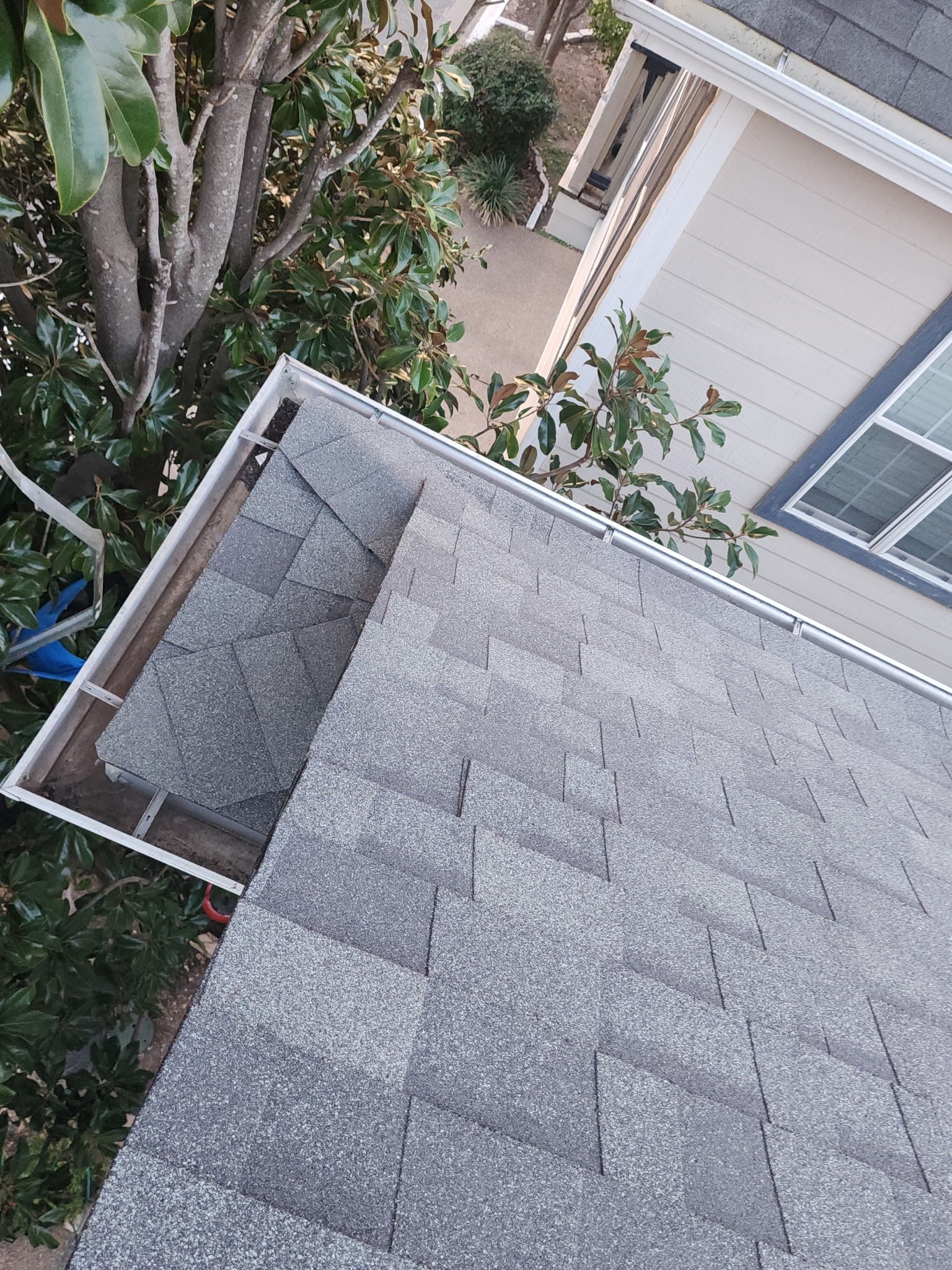 Tall, tall, tall by REPS Austin Area Roofer