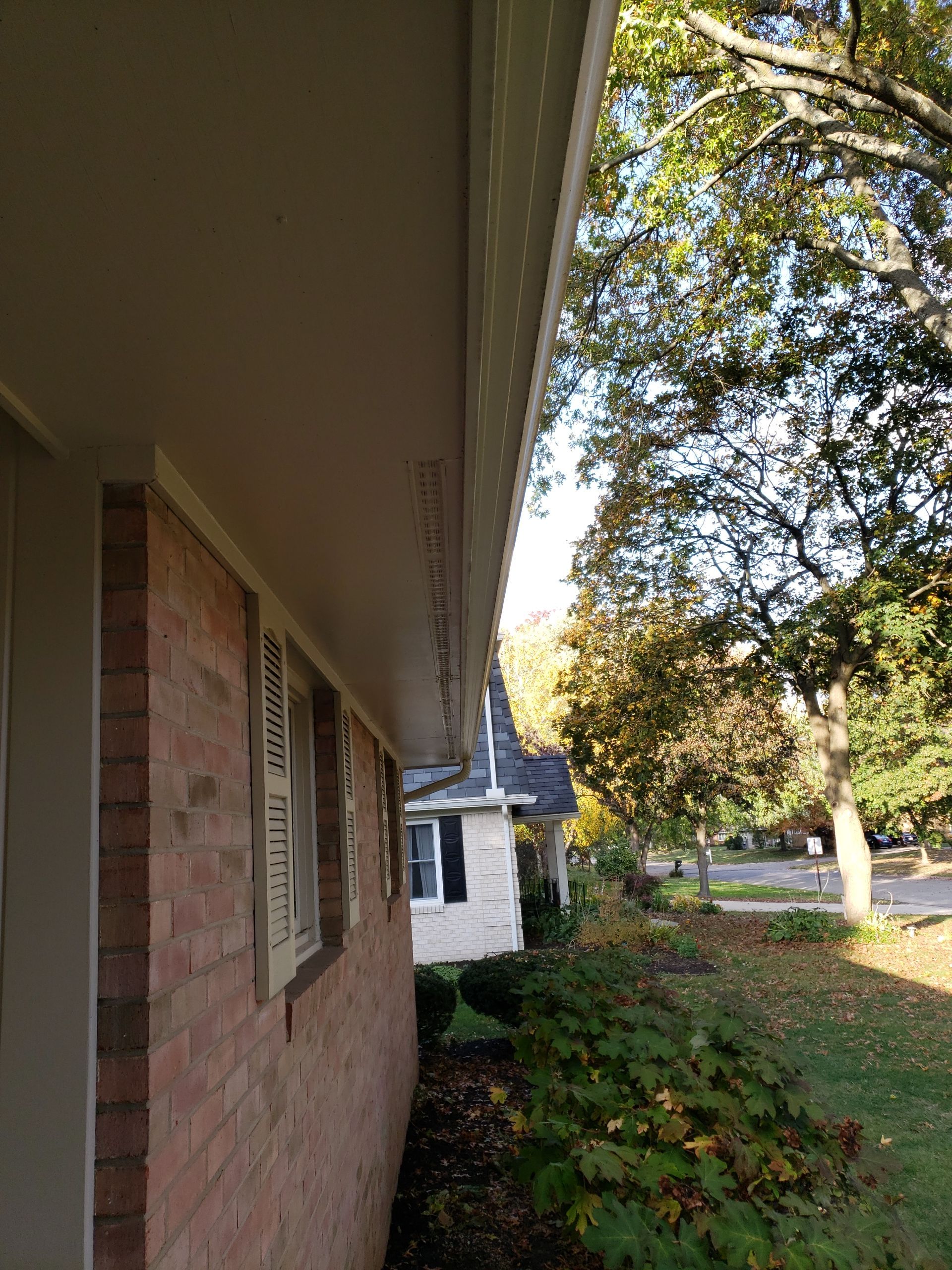 ATLAS PINNACLE COLOR: MORNING HARVEST DRIP EDGE: MUSKET BROWN by Eagle Eye Roofing