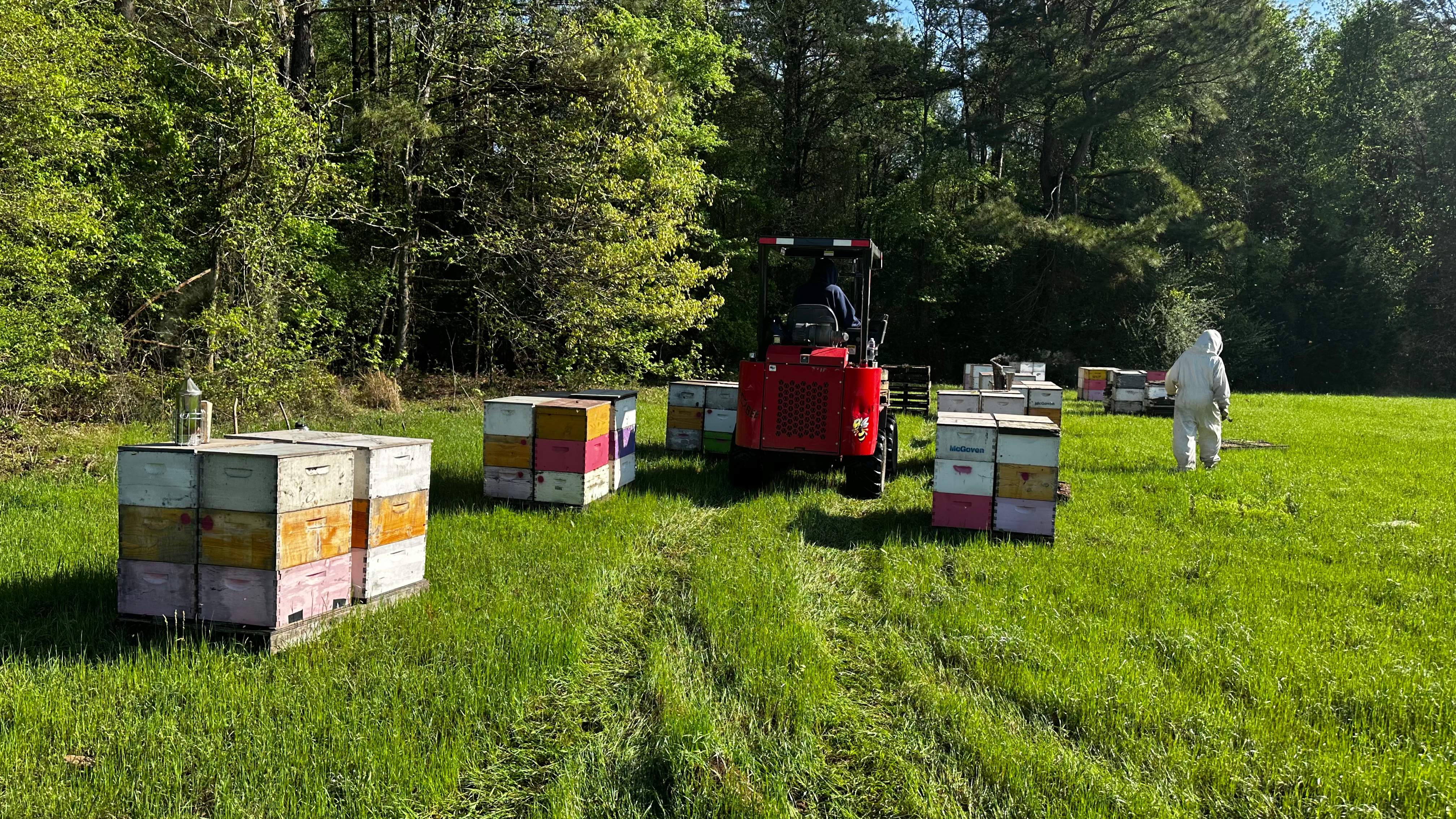 Traylor's Hay Meadow Apiary by Rockwall Honey Bee Company