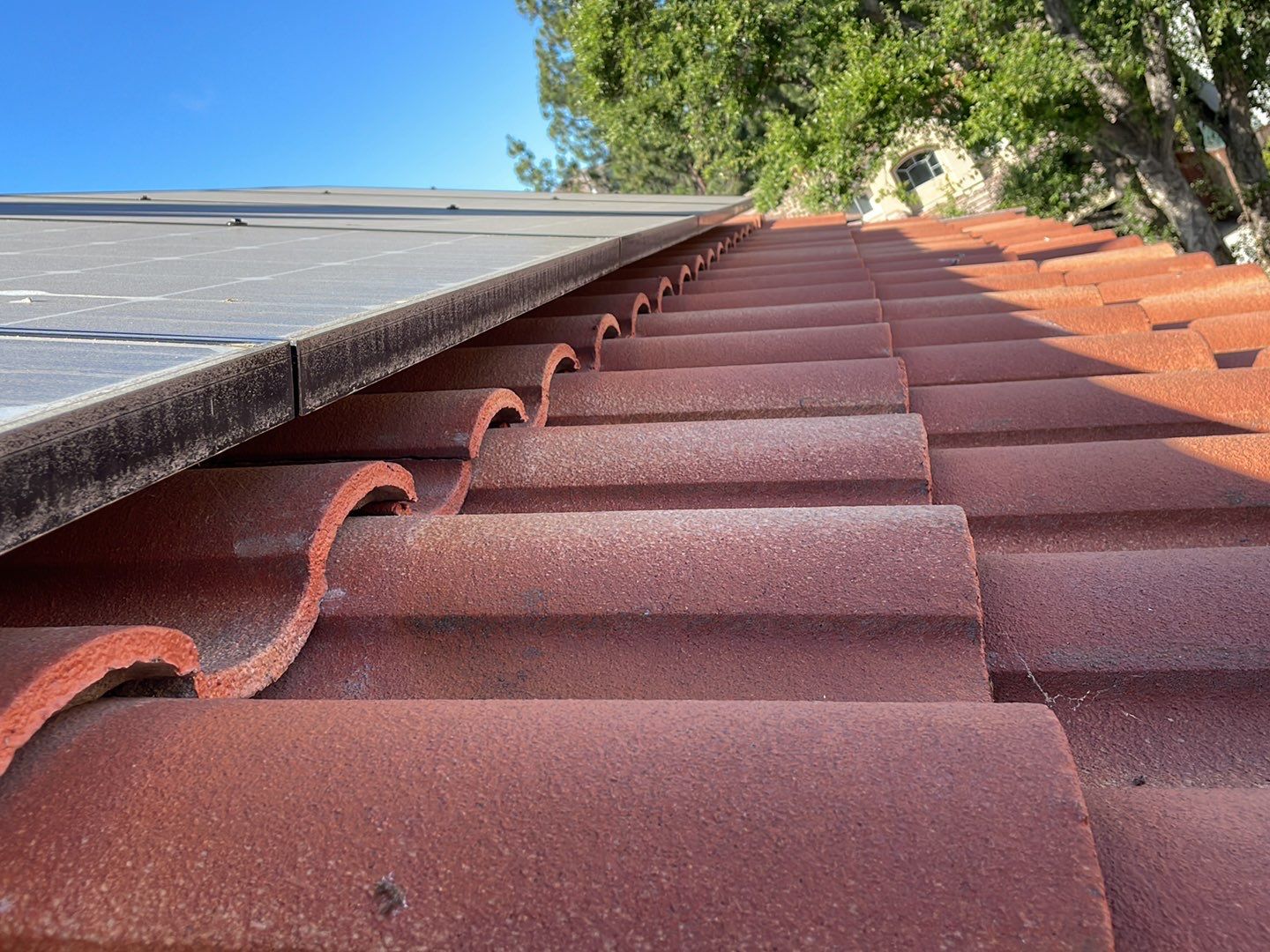 Solar Panel Bird Proofing using Critter Guard Mesh by All One Solar Shine