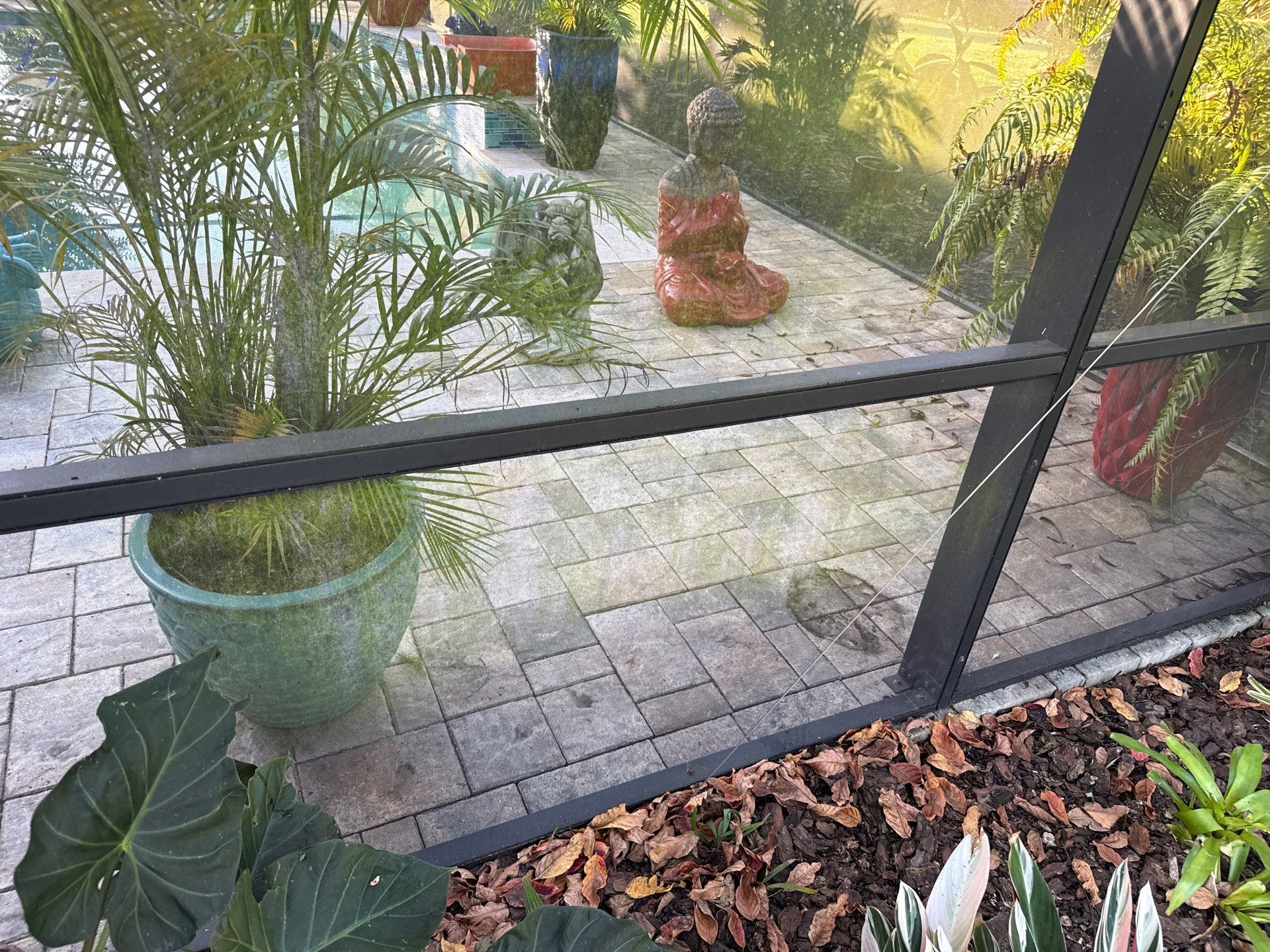 Pool Cage Cleaning | Rye Wilderness, Bradenton FL by Sunshine AquaWash