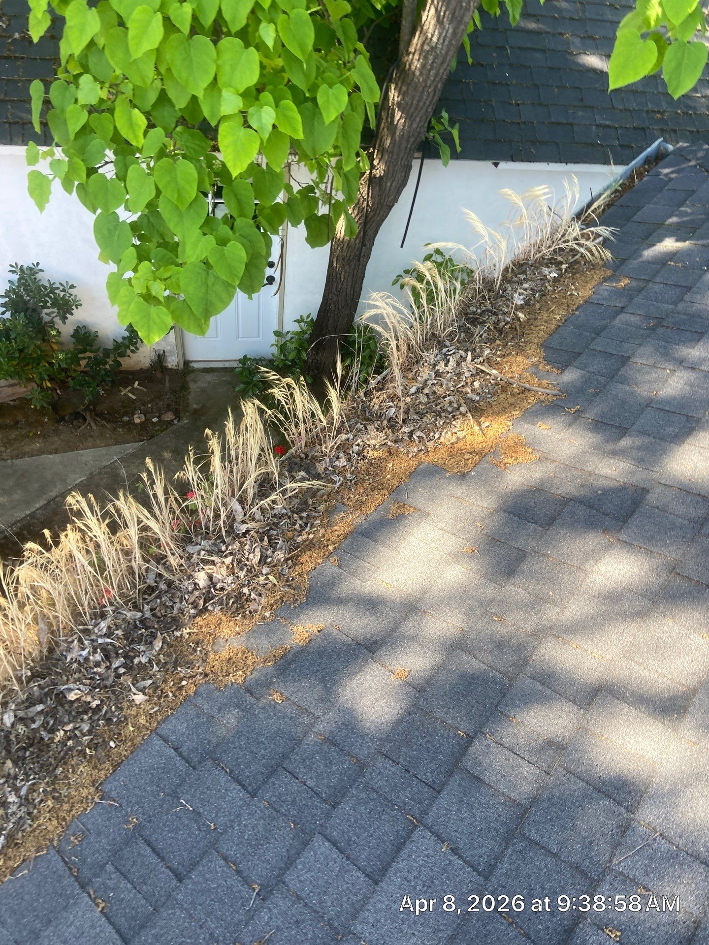 Roof Rejuvenation using Roof Maxx Treatment by Roof Maxx of Folsom