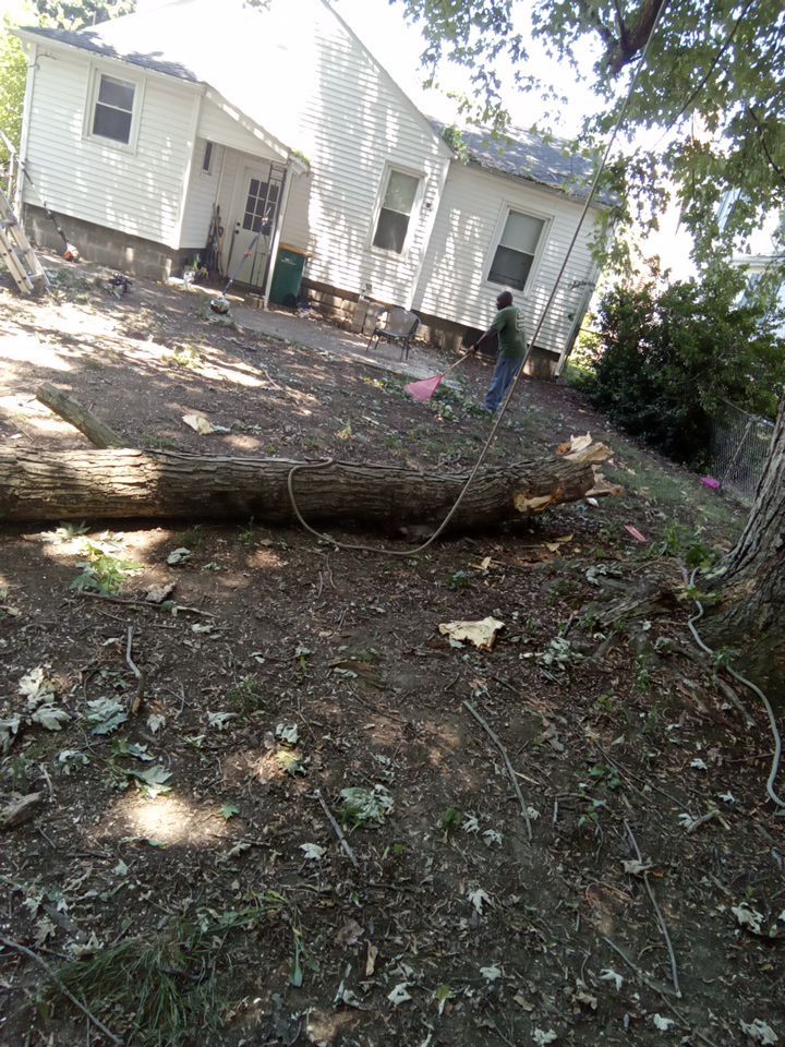 Storm Damaged Tree Removal  using Tree Removal by Mike Jones & Sons Tree Service LLC 