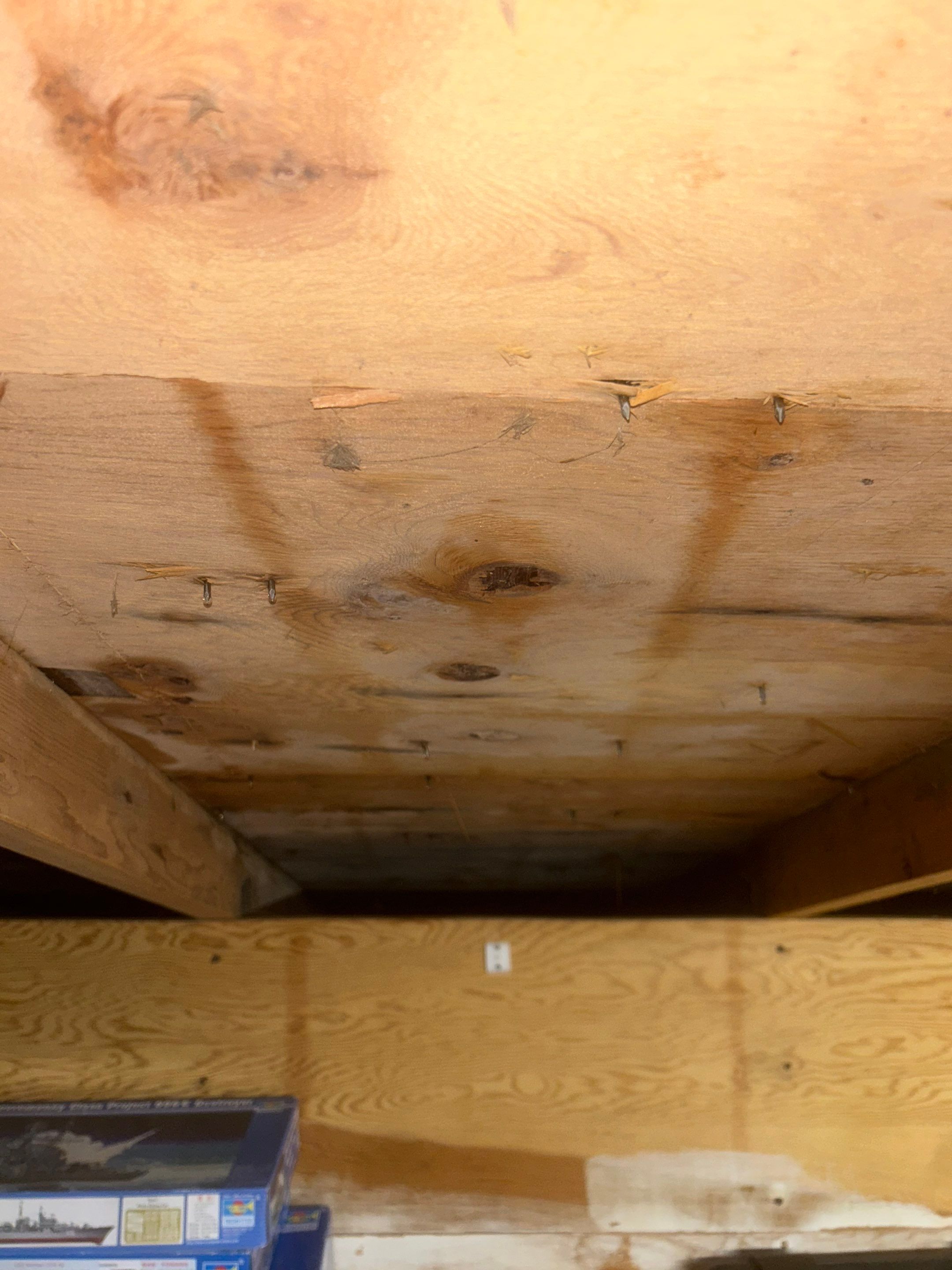 Project in Shoreline by Peaks and Valleys Construction