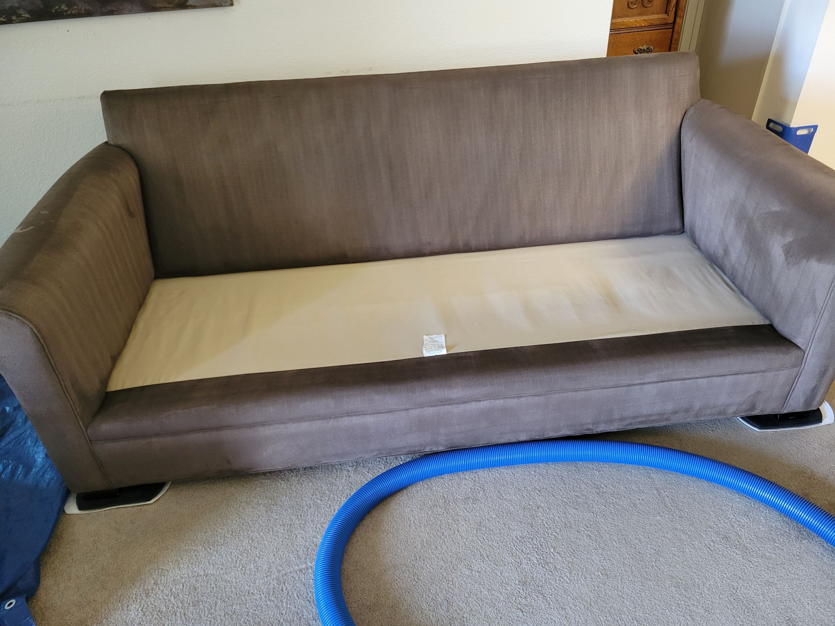 Upholstery Cleaning of Furniture Shells by Ardent Carpet Restore LLC