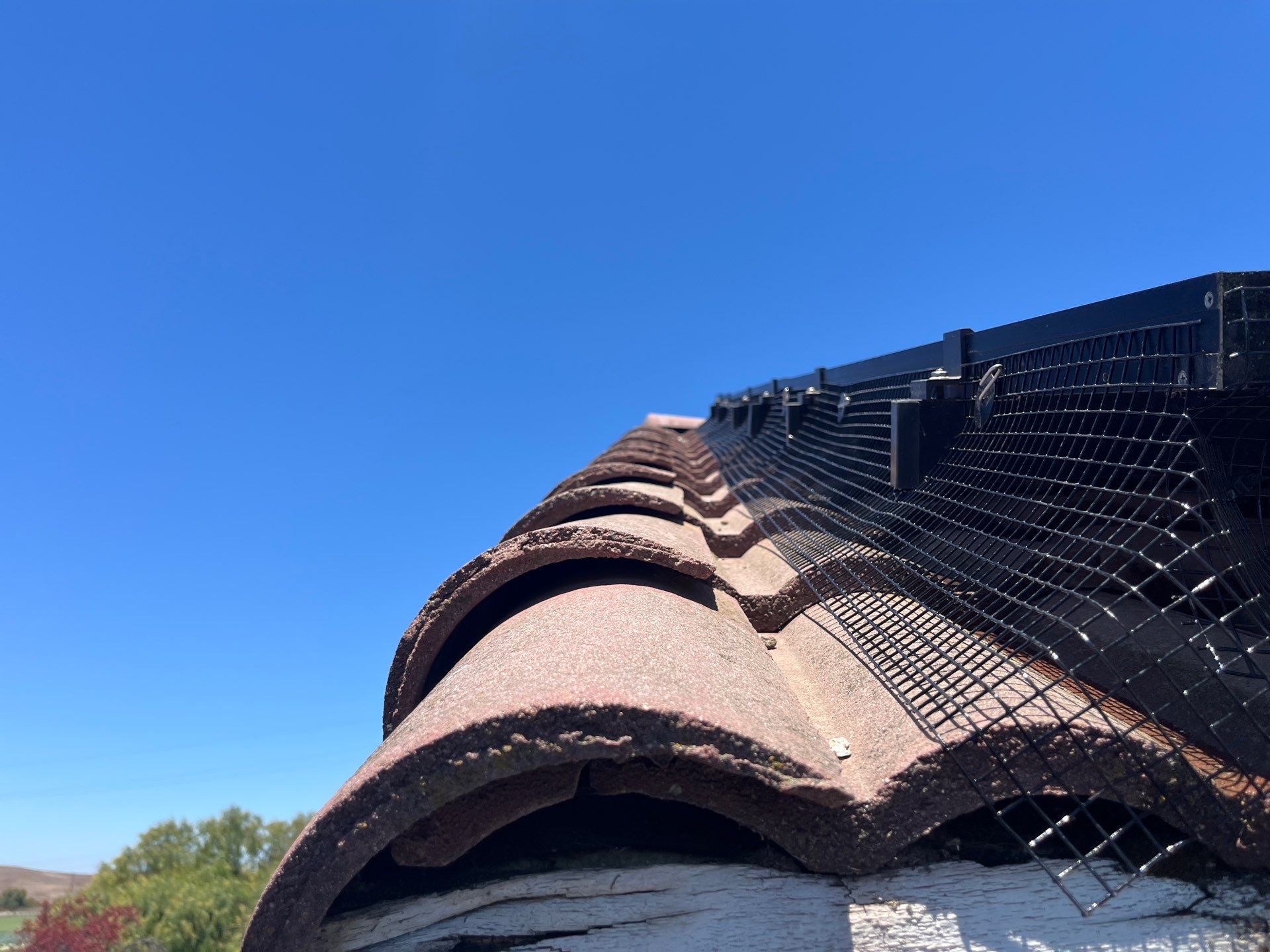 Project in Hollister, CA by All One Solar Shine