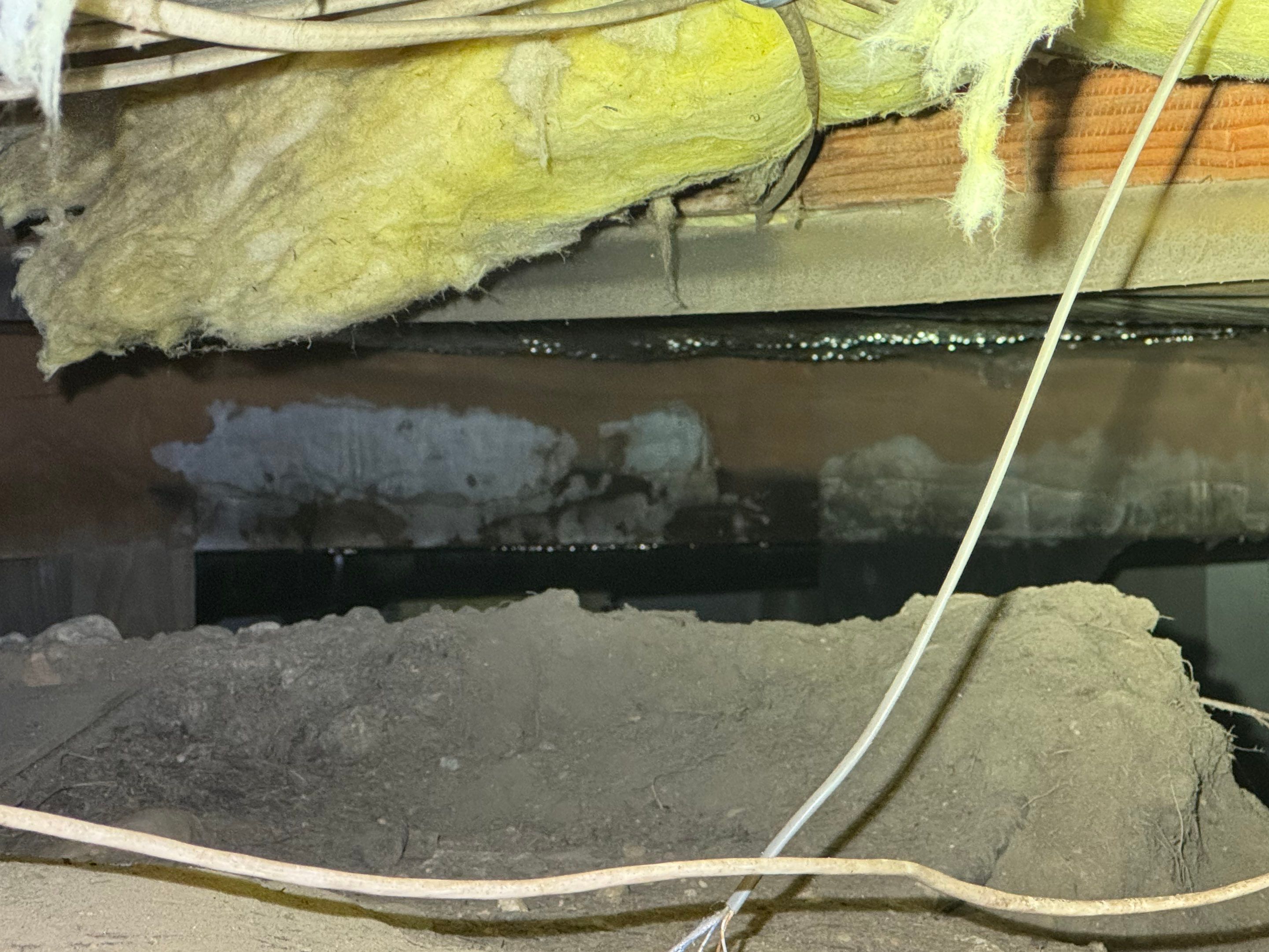 Mold Remediation (Basement) using Home Guarantee by Home Guarantee, LLC