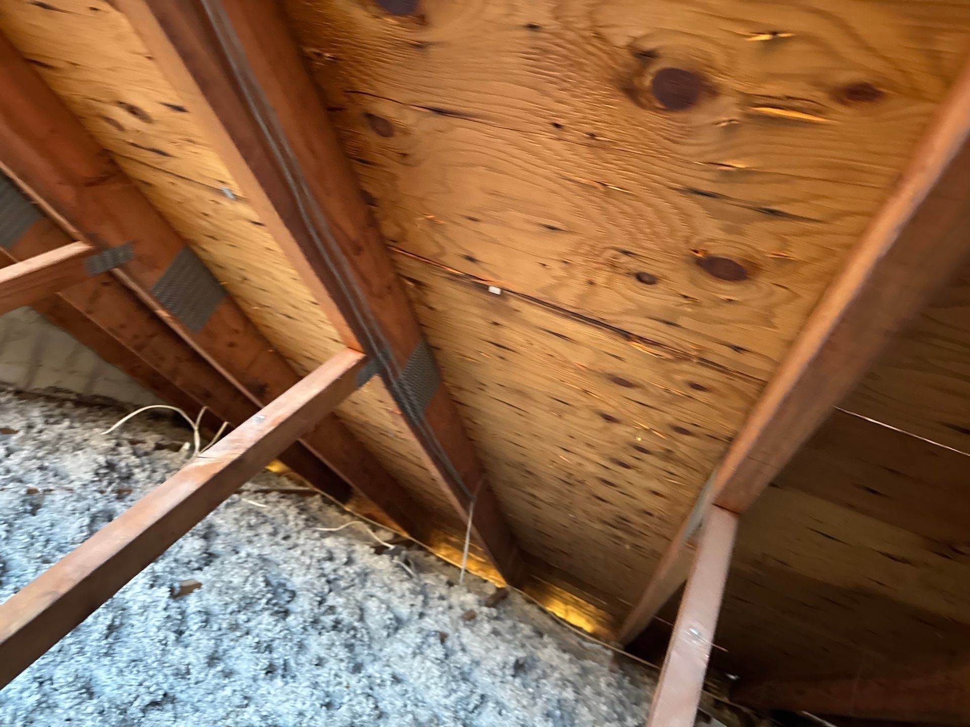 Silver Birch Shingles by Reimagine Roofing