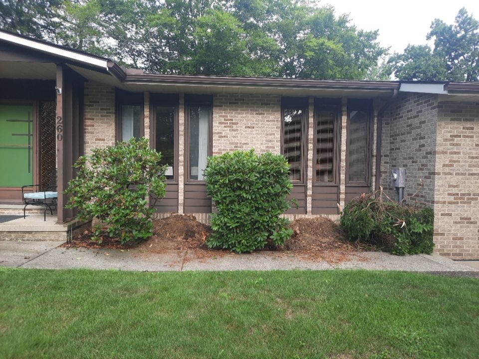 Tree Removal using Tree Removal by Mike Jones & Sons Tree Service LLC 