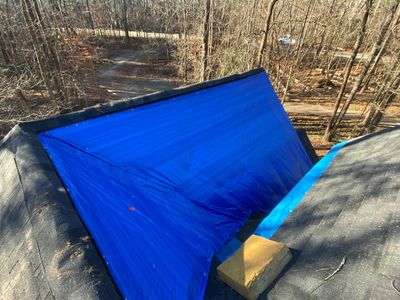Tarp