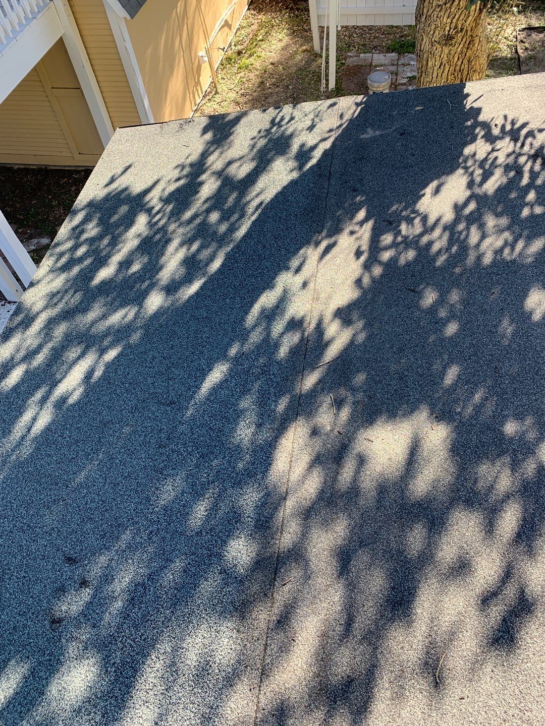 Olive you a Lot! by Bayfront Roofing and Construction
