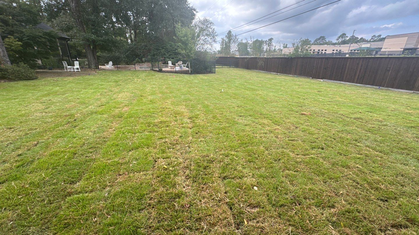 Mr. Jeff — Backyard Drainage & Grading Improvement by Texas Urban Elements